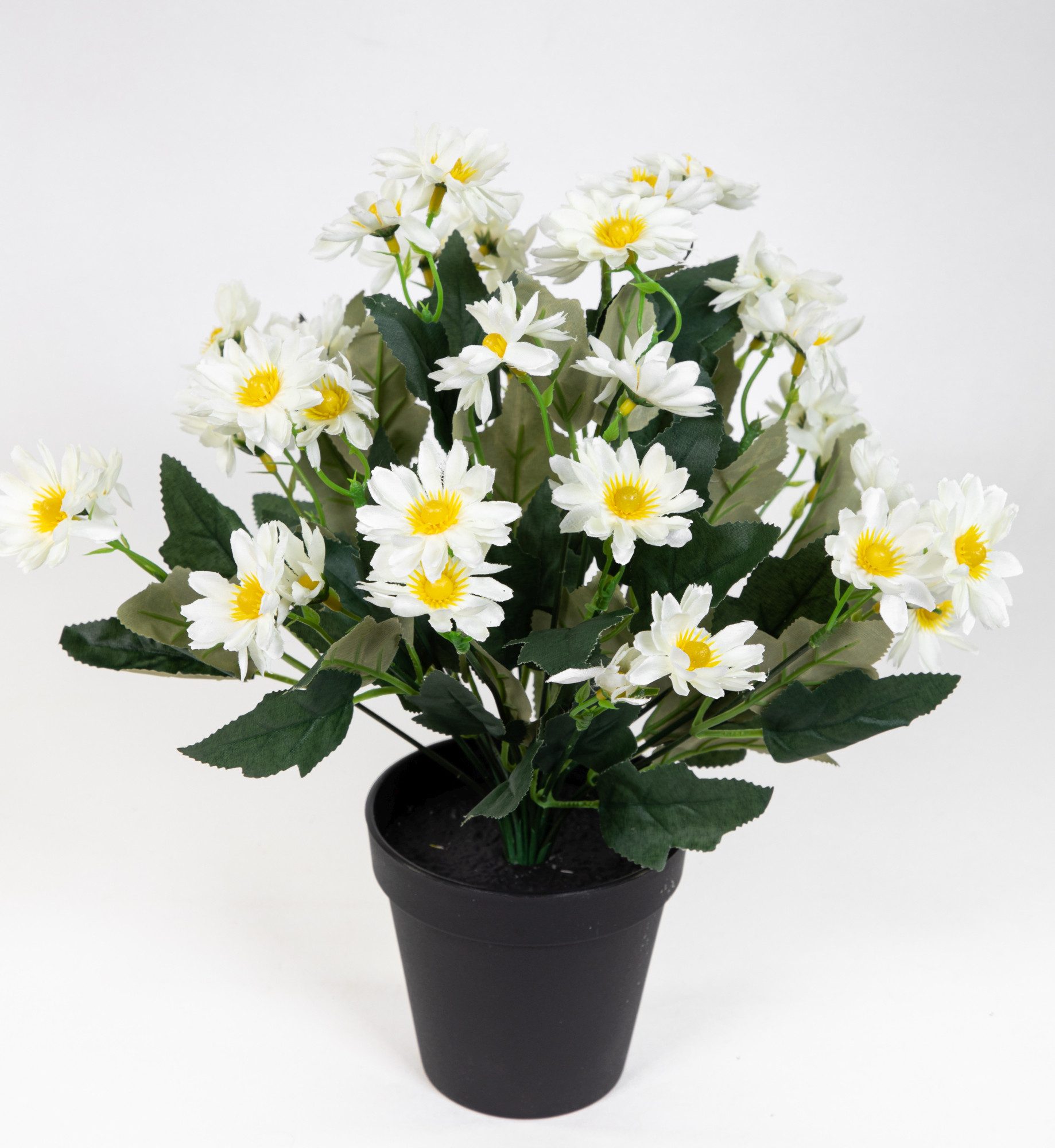 Kunstblume Margeritenbusch 32cm im Topf JA Kunstpflanzen künstliche Blume P günstig online kaufen