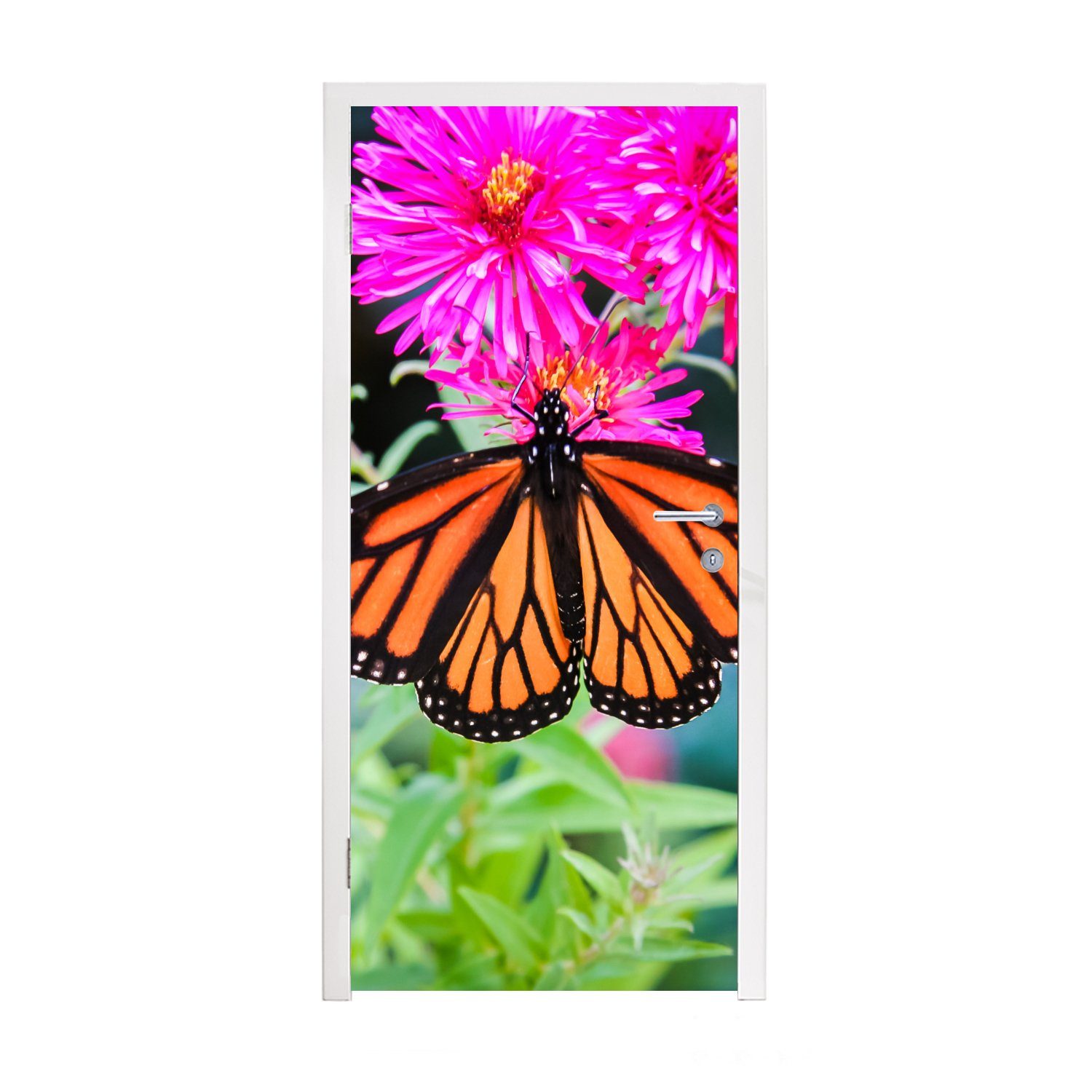 bedruckt, Tür, 75x205 - St), (1 für Türaufkleber, MuchoWow Fototapete Matt, Türtapete Blume, - Botanisch cm Schmetterling