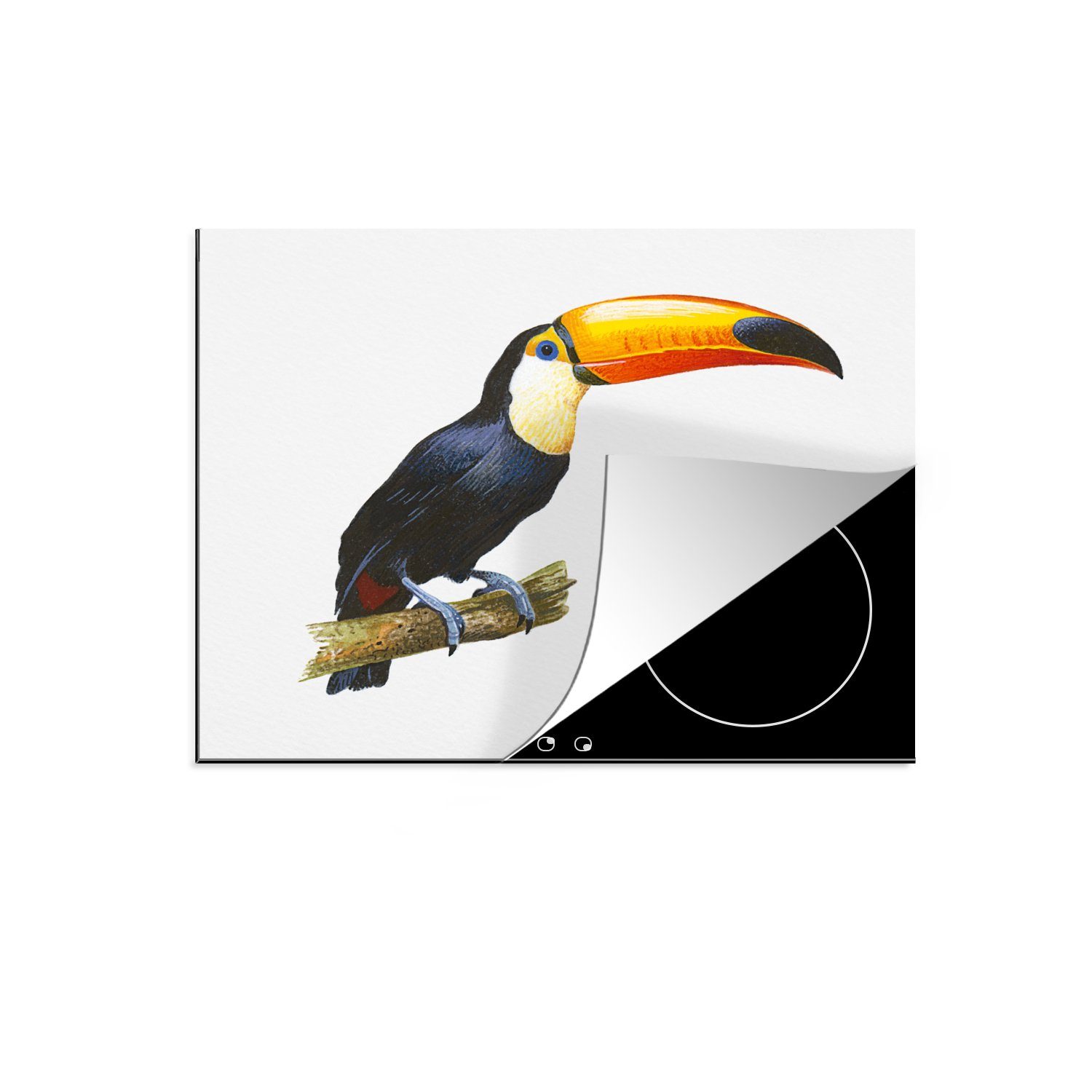 MuchoWow Herdblende-/Abdeckplatte Eine Illustration eines Tukans auf einem dünnen Ast, Vinyl, (1 tlg), 60x52 cm, Mobile Arbeitsfläche nutzbar, Ceranfeldabdeckung