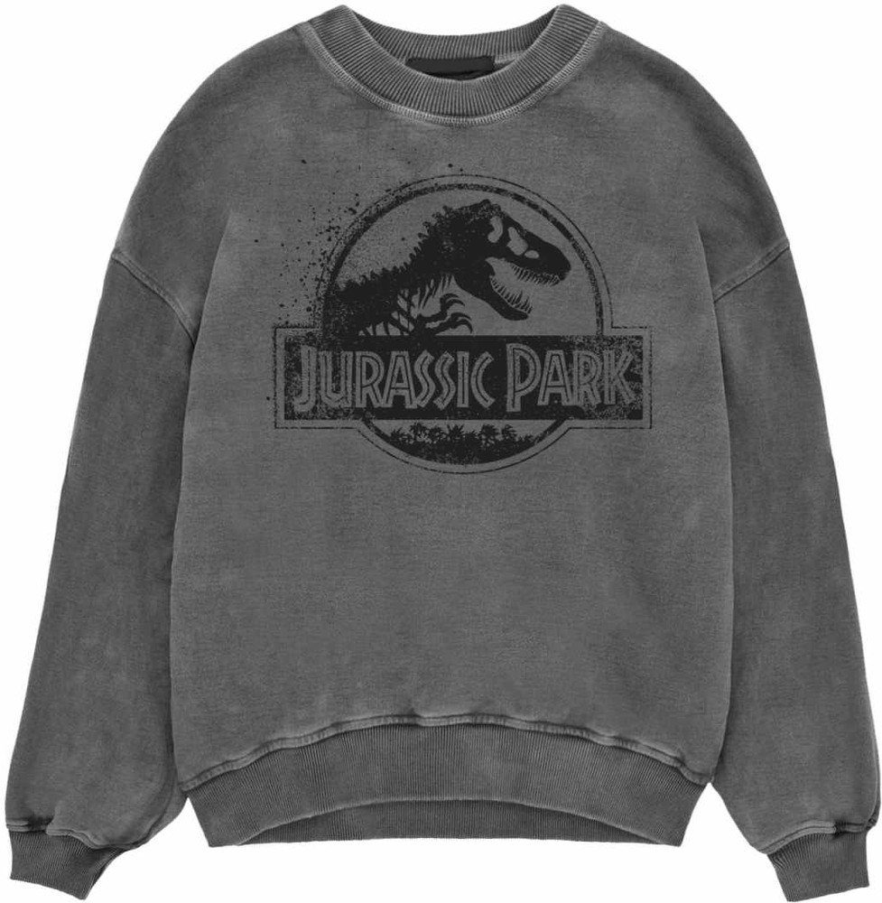 Jurassic Park Rundhalspullover günstig online kaufen