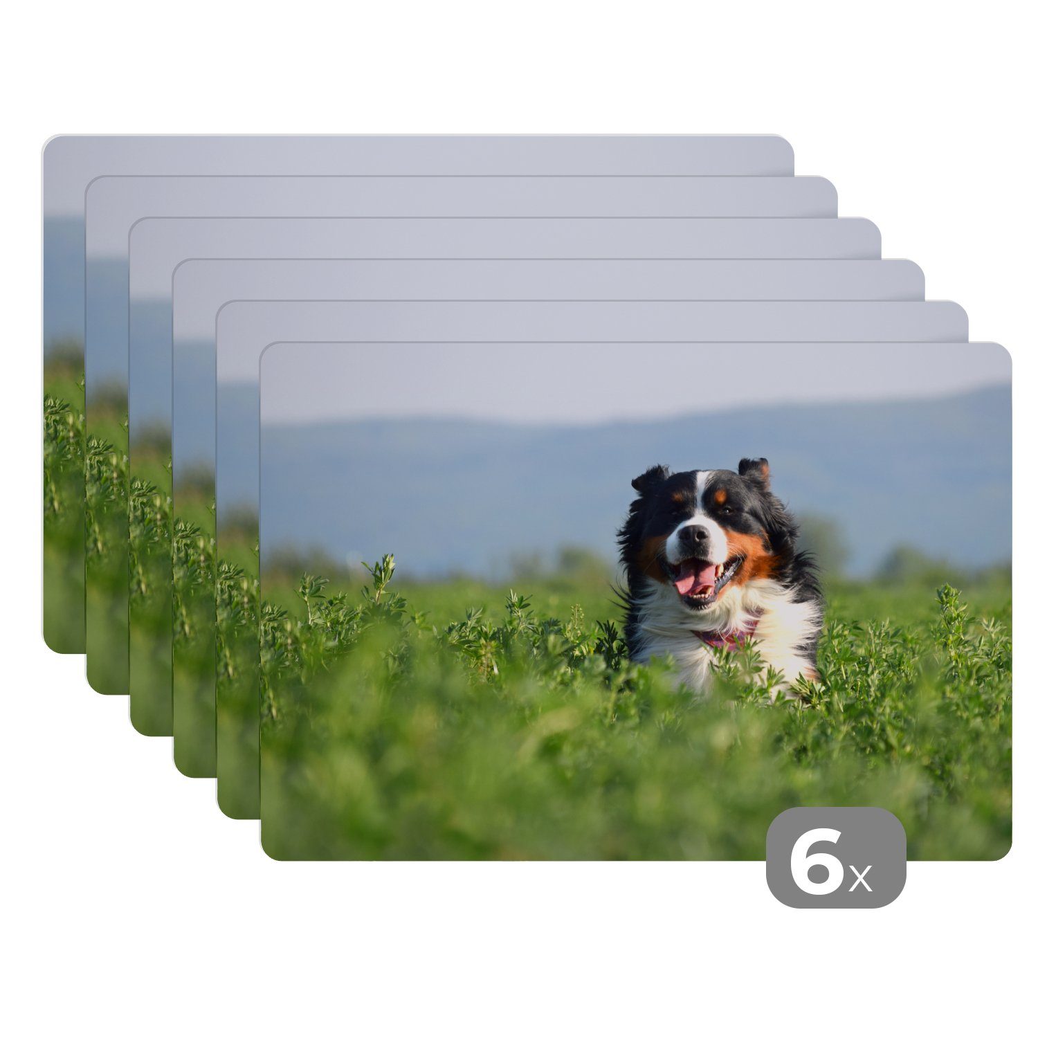 Platzset, Ein Berner Sennenhund im hohen Gras, MuchoWow, (6-St), Platzset, Platzdecken, Platzmatte, Tischmatten, Schmutzabweisend