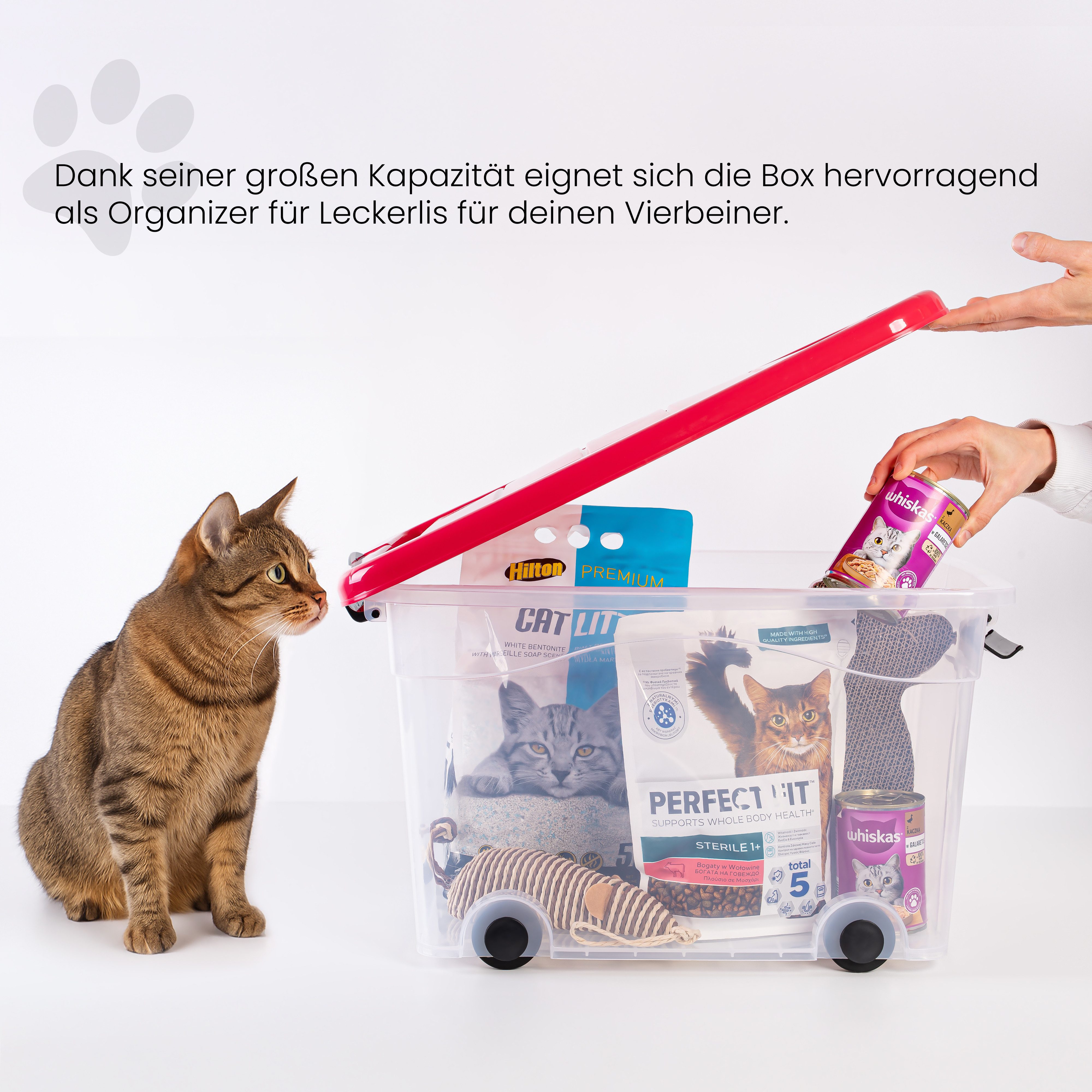 KONZEPT Aufbewahrungsbox 40L mit Deckel & günstig online kaufen