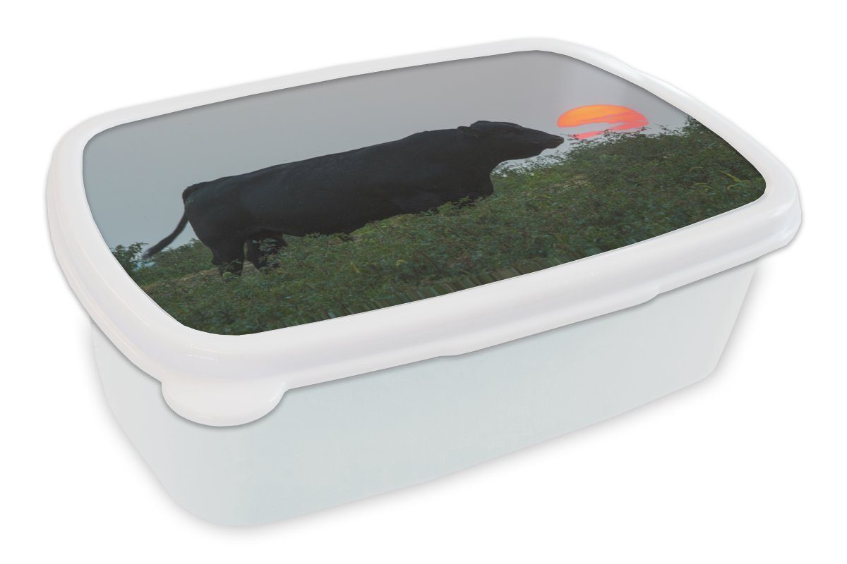 MuchoWow Lunchbox Kuh - Schwarz - Sonne, Kunststoff, (2-tlg), Brotbox für Kinder und Erwachsene, Brotdose, für Jungs und Mädchen weiß