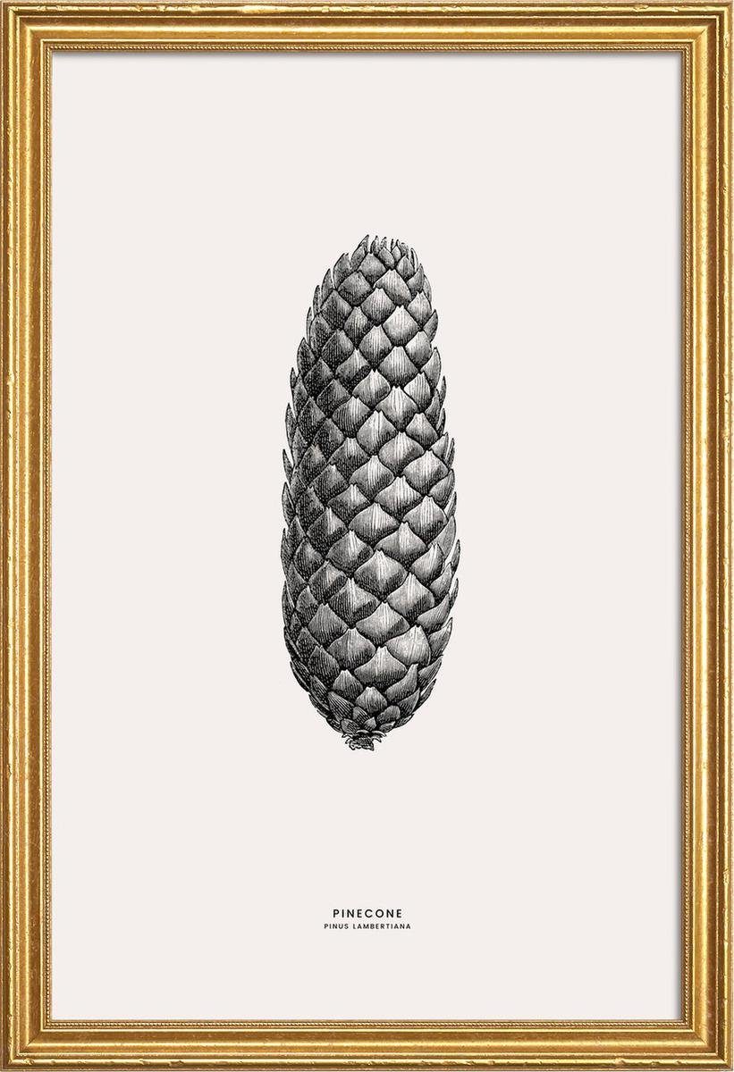 Fauna mit & in Holzrahmen, breiten, Flora 1 St), Galeriequalität weißen Fine-Art-Print einem Juniqe Poster Poster cm mit (1 Rand
