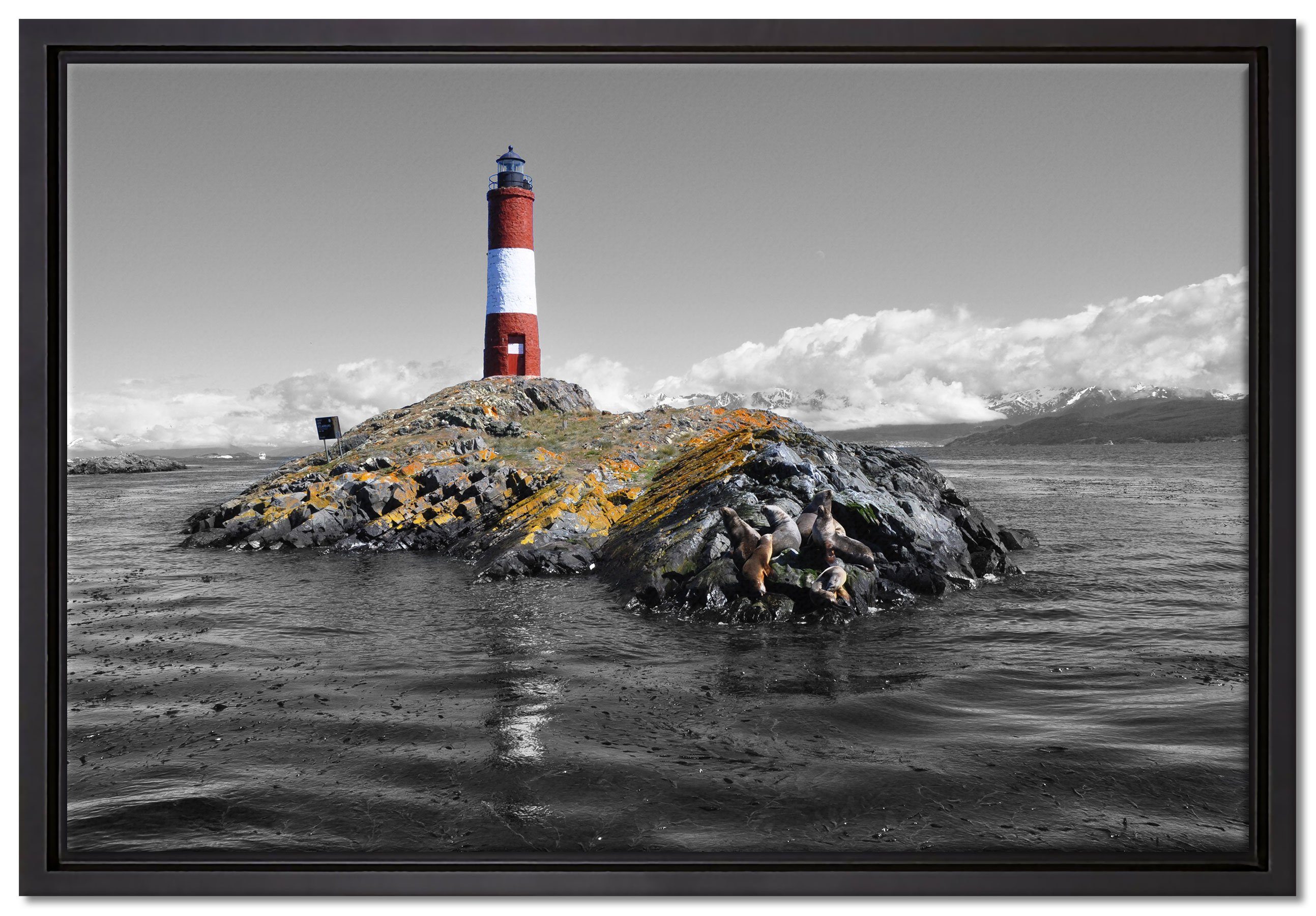 Pixxprint Leinwandbild Leuchtturm mit Robben, Wanddekoration (1 St), Leinwandbild fertig bespannt, in einem Schattenfugen-Bilderrahmen gefasst, inkl. Zackenaufhänger