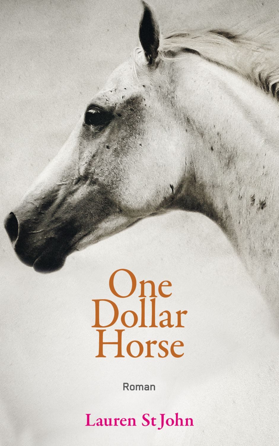 One Dollar Horse / Lauren St John