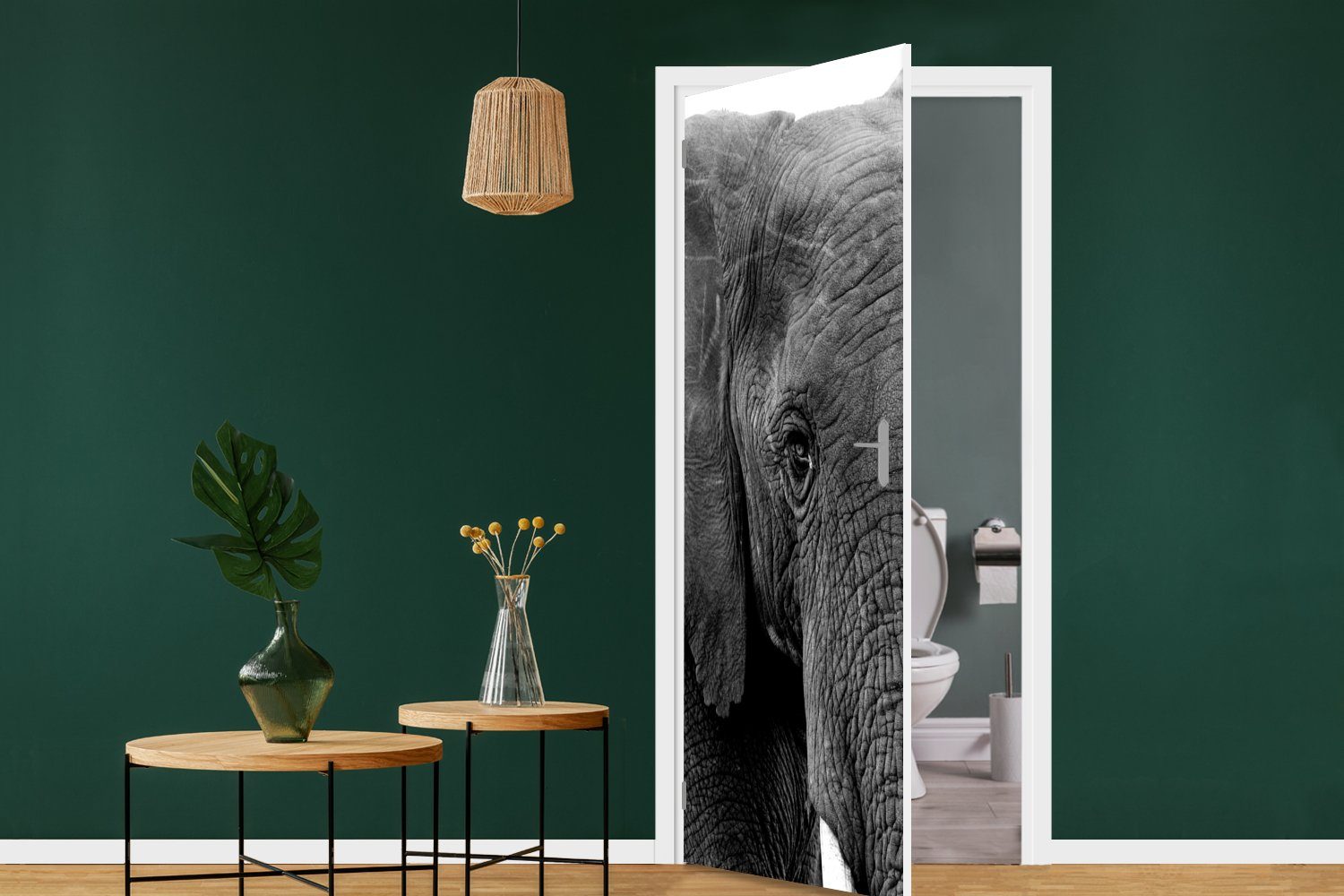 Türtapete - - bedruckt, für Elefant Tür, cm Schwarz Türaufkleber, (1 Tiere Weiß MuchoWow - Natur, St), - 75x205 Fototapete Matt,