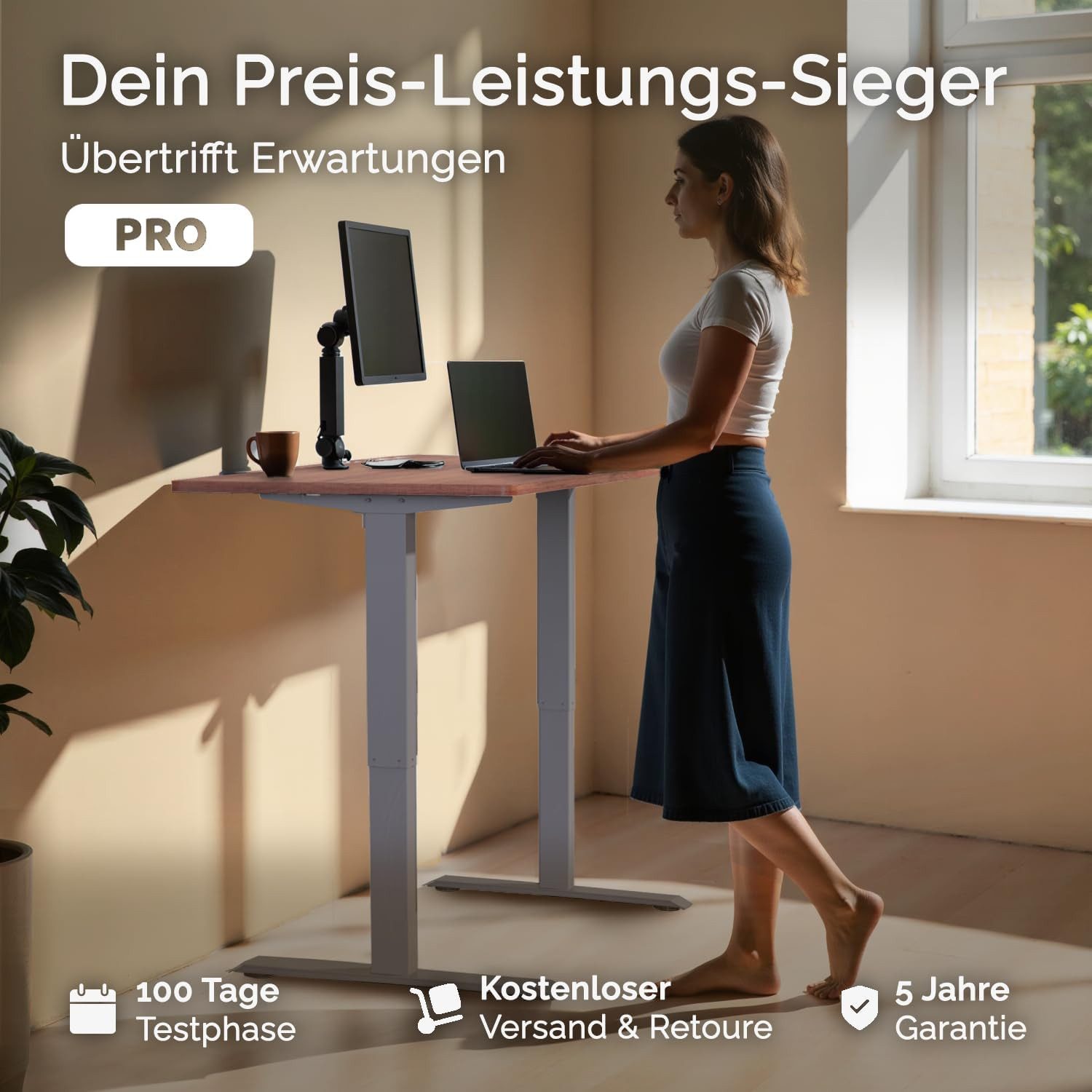 DESKSPACE Schreibtisch Pro Elektrisch höhenverstellbarer Schreibtisch - inklusive Tischplatte (Komplettset inkl. Tischplatte und Gestell), Ergonomischer Stehpult mit Memory Funktion & Kollisionsschutz