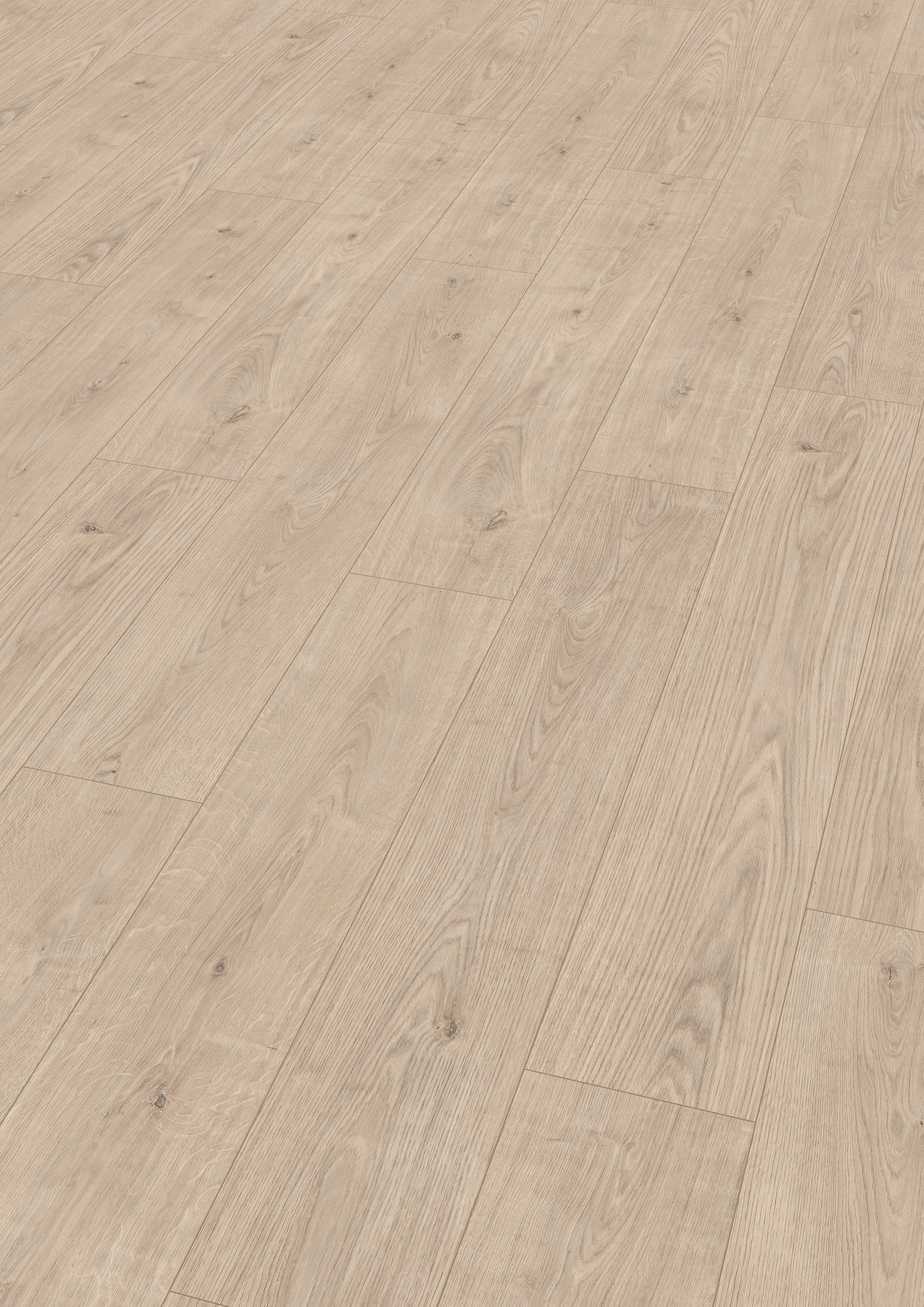 EGGER Laminat Promo NL1031 Berdal Eiche hell, (8mm, 1,995m), Praktisch & Pflegeleicht