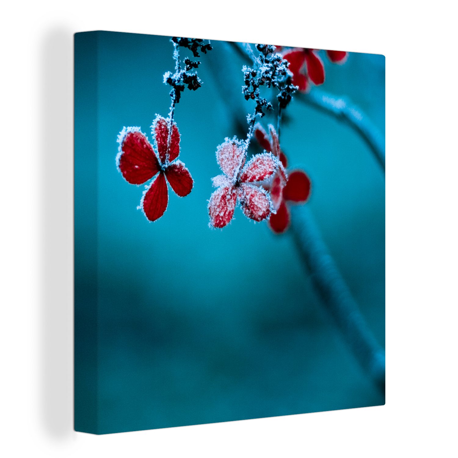 OneMillionCanvasses® Leinwandbild Rot - Blume - Schneeregen, (1 St), Leinwand Bilder für Wohnzimmer Schlafzimmer