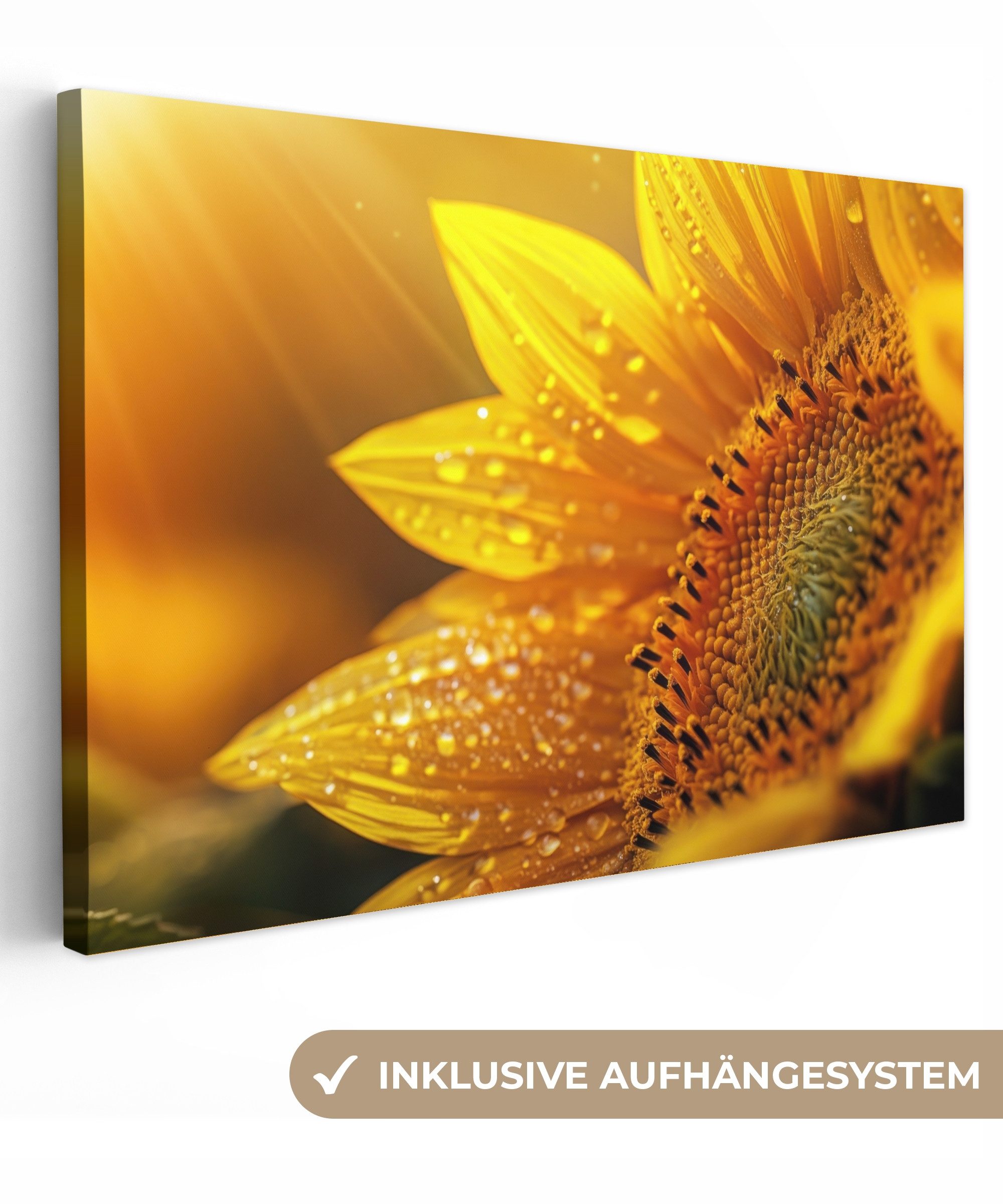 OneMillionCanvasses® Leinwandbild Sonnenblume - Tautropfen - günstig online kaufen