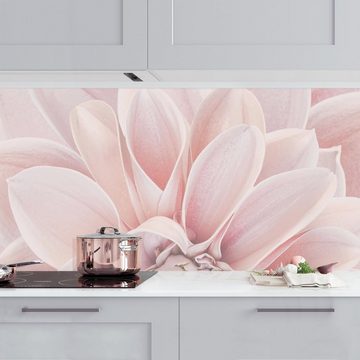 Bilderdepot24 Küchenrückwand rosa dekor Blumen Wandpaneel Küche Dahlie in Puderrosa, (1-tlg., Nischenrückwand - für Fliesenspiegel ohne Bohren - matt), Spritzschutz Rückwand Küche Herd - Folie selbstklebend versch. Größen