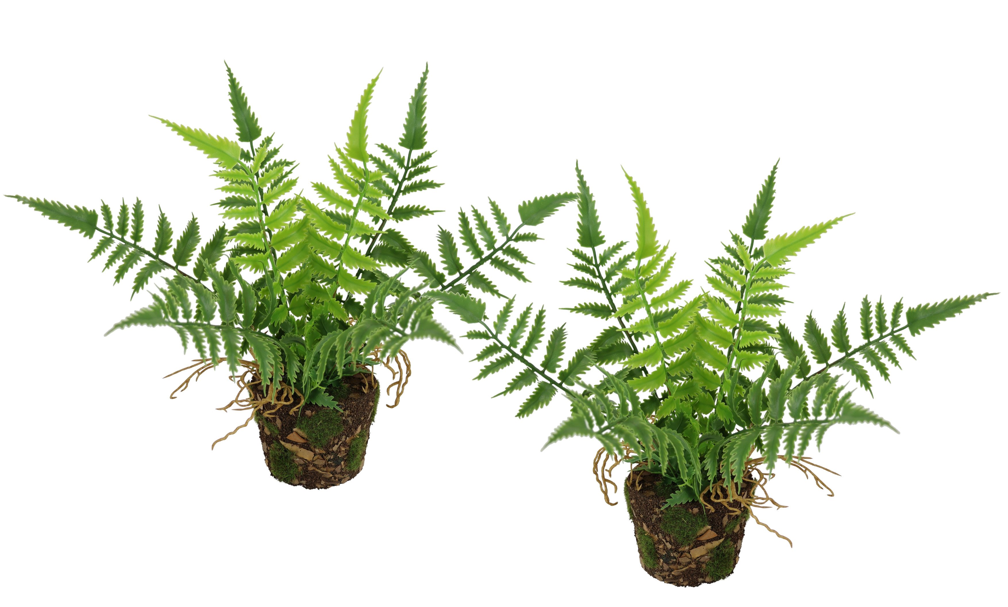 Kunstpflanze Künstlicher Waldfarn im Topf, I.GE.A., Höhe 23 cm, 2er Set Farn Büsche Pflanze Deko Grünpflanze Waldpflanze Zimmerpflanze
