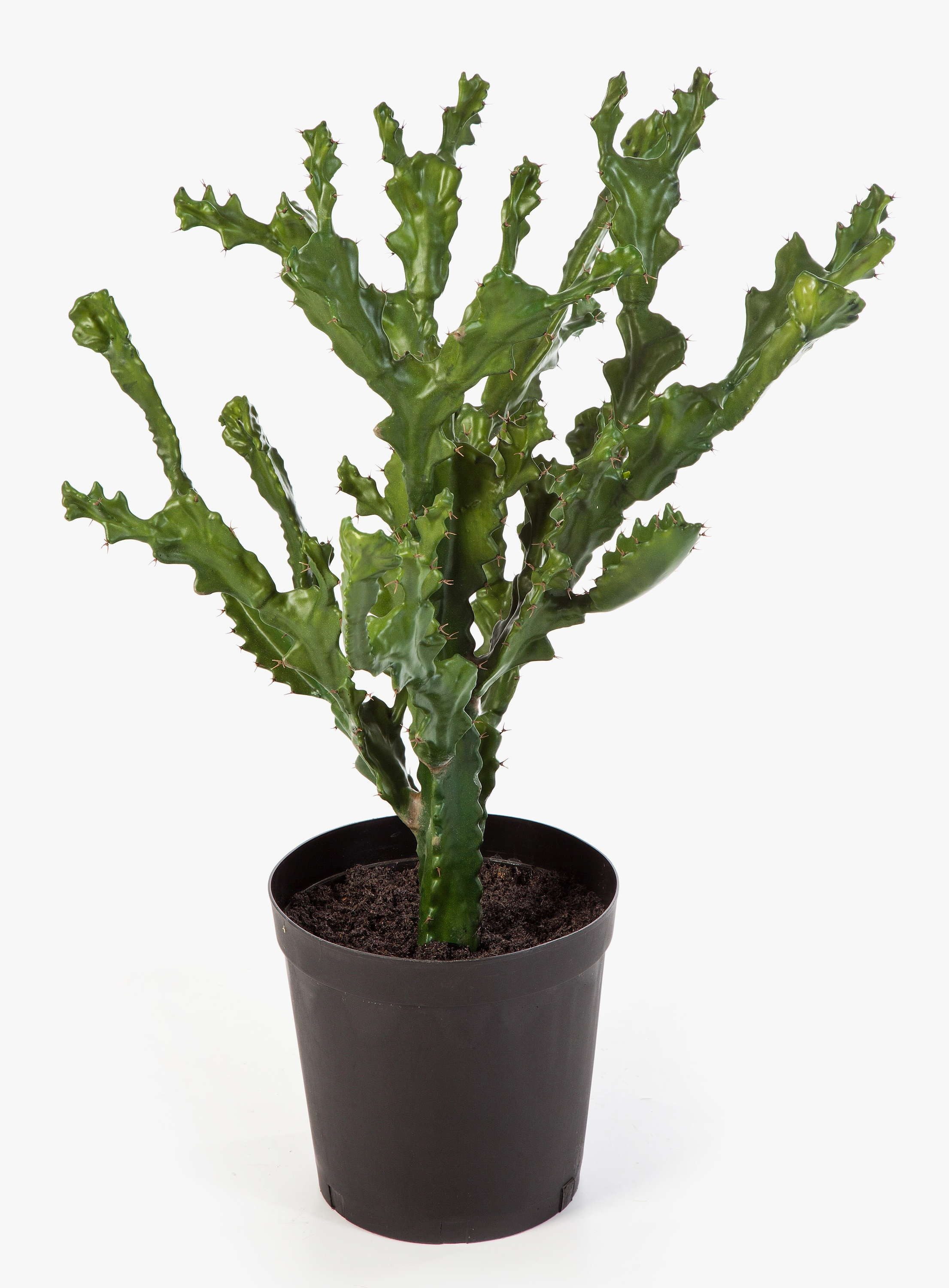 Kunstkaktus Kunststoff Kaktus im Gärtnertopf, grün, 75cm - Kunstkaktus Euphorbia (Euphorbia trigona), artplants, Höhe 75.0 cm