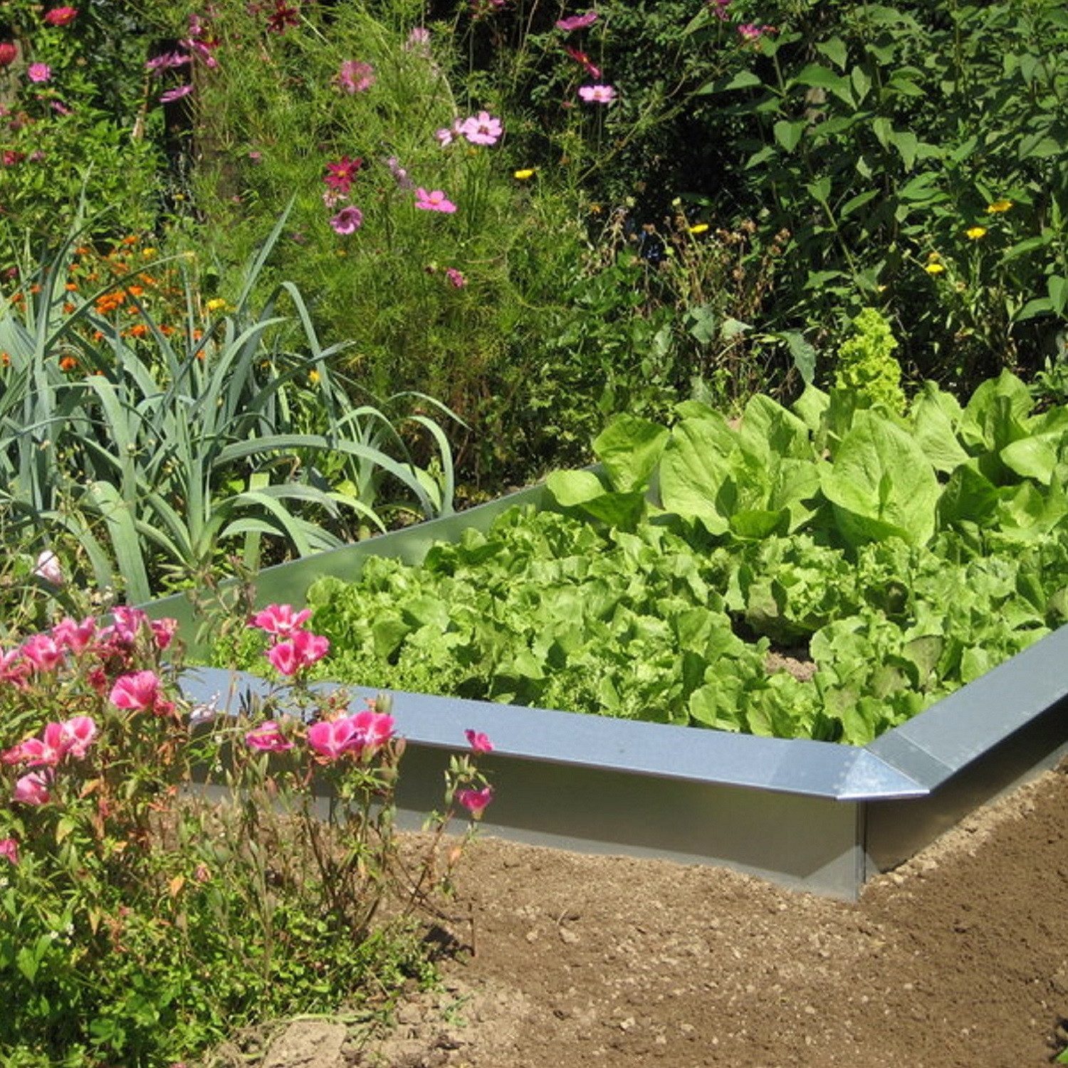 innogard Schneckenzaun Schneckenzaun Komplettsets AluZink "Galvalume AZ®" günstig online kaufen