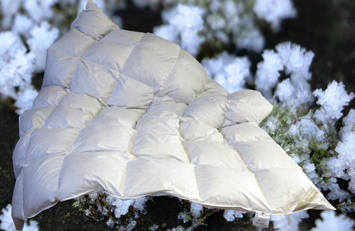 Betten Hofmann 4-Jahreszeitenbett Betten Hofmann Ganzjahres-Daunendecke Dau günstig online kaufen