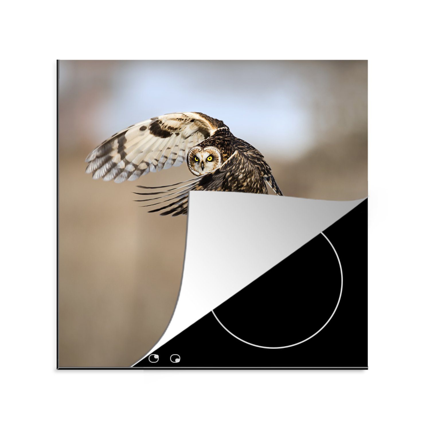 MuchoWow Herdblende-/Abdeckplatte Fliegende Eule vor verblasstem Hintergrund, Vinyl, (1 tlg), 78x78 cm, Ceranfeldabdeckung, Arbeitsplatte für küche