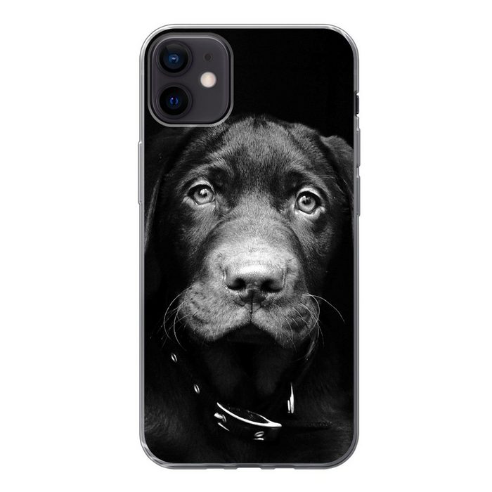 MuchoWow Handyhülle Nahaufnahme Labrador Welpe vor schwarzem Hintergrund in schwarz und Handyhülle Apple iPhone 12 Mini Smartphone-Bumper Print Handy