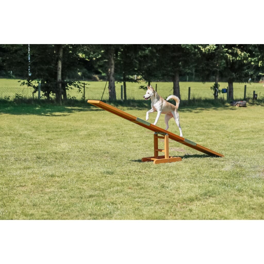 TRIXIE Agility-Wippe Fun Agility Wippe - diverse - 300 × 54 × 34 cm, Kunststoff