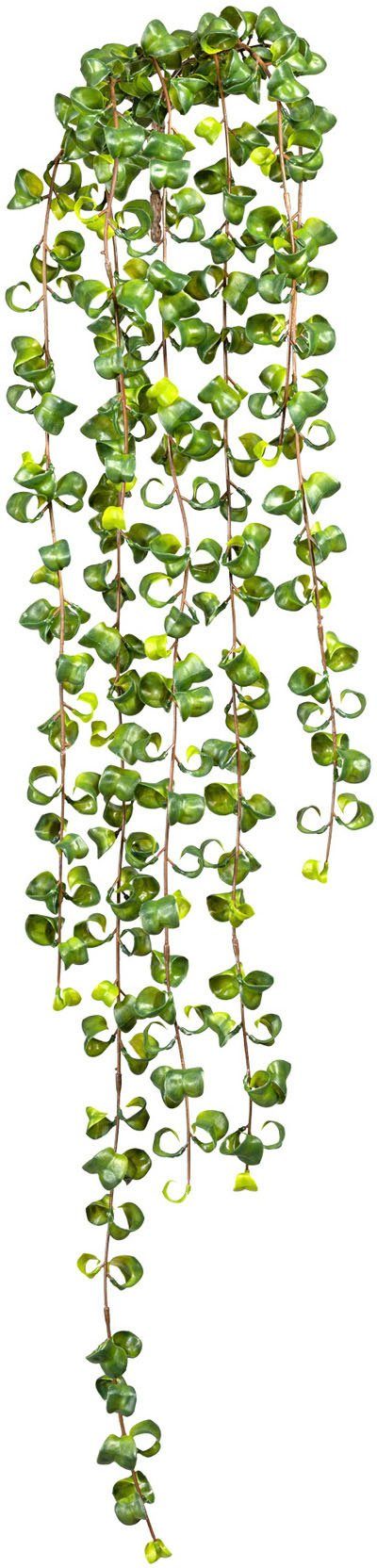 Kunstranke Ficus Barock Blatthänger Ficus, Creativ günstig online kaufen
