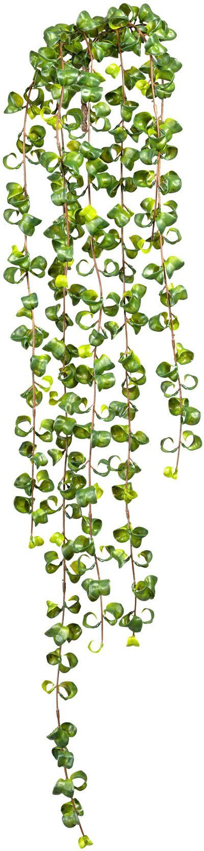 Creativ Ficus, green, cm Barock 100 Ficus Höhe Blatthänger Kunstranke
