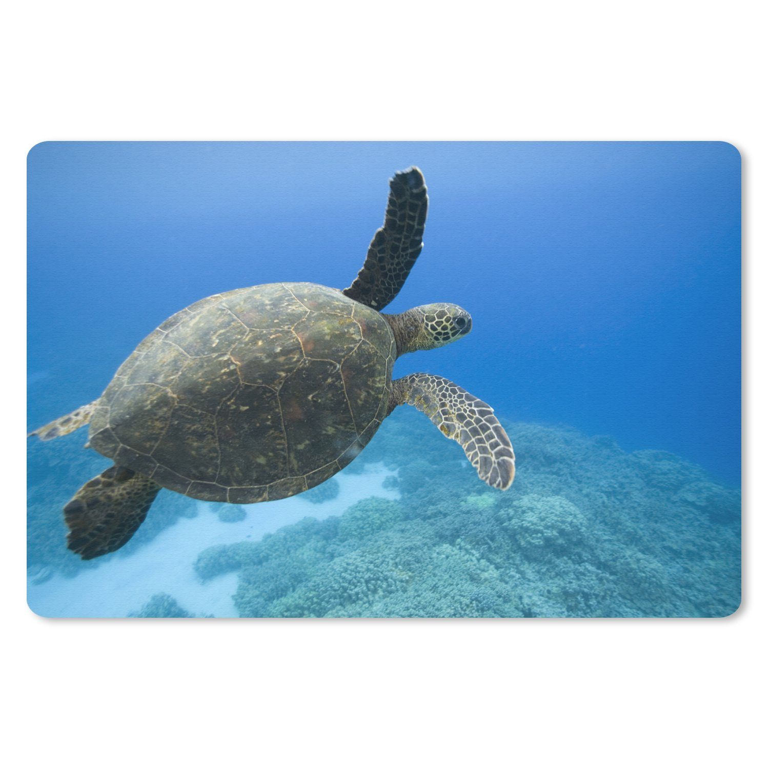 MuchoWow Mauspad Grüne schwimmende Schildkröte Fotodruck (1-St), Mouse pad Klein, Gaming Deko, PC Zubehör, 27x18 cm