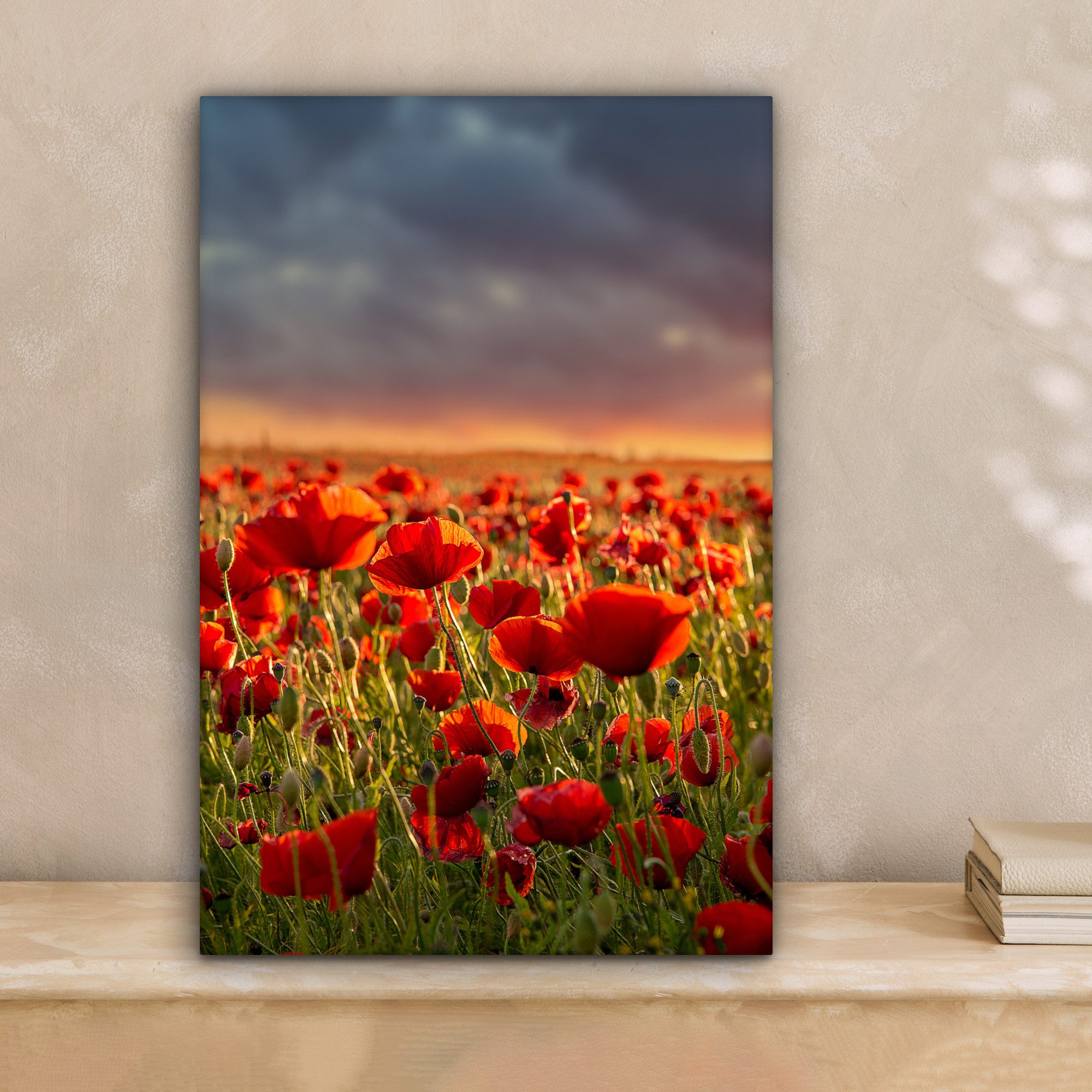 OneMillionCanvasses® Leinwandbild Sonnenuntergang - Mohnblumen - Rot - Blum günstig online kaufen