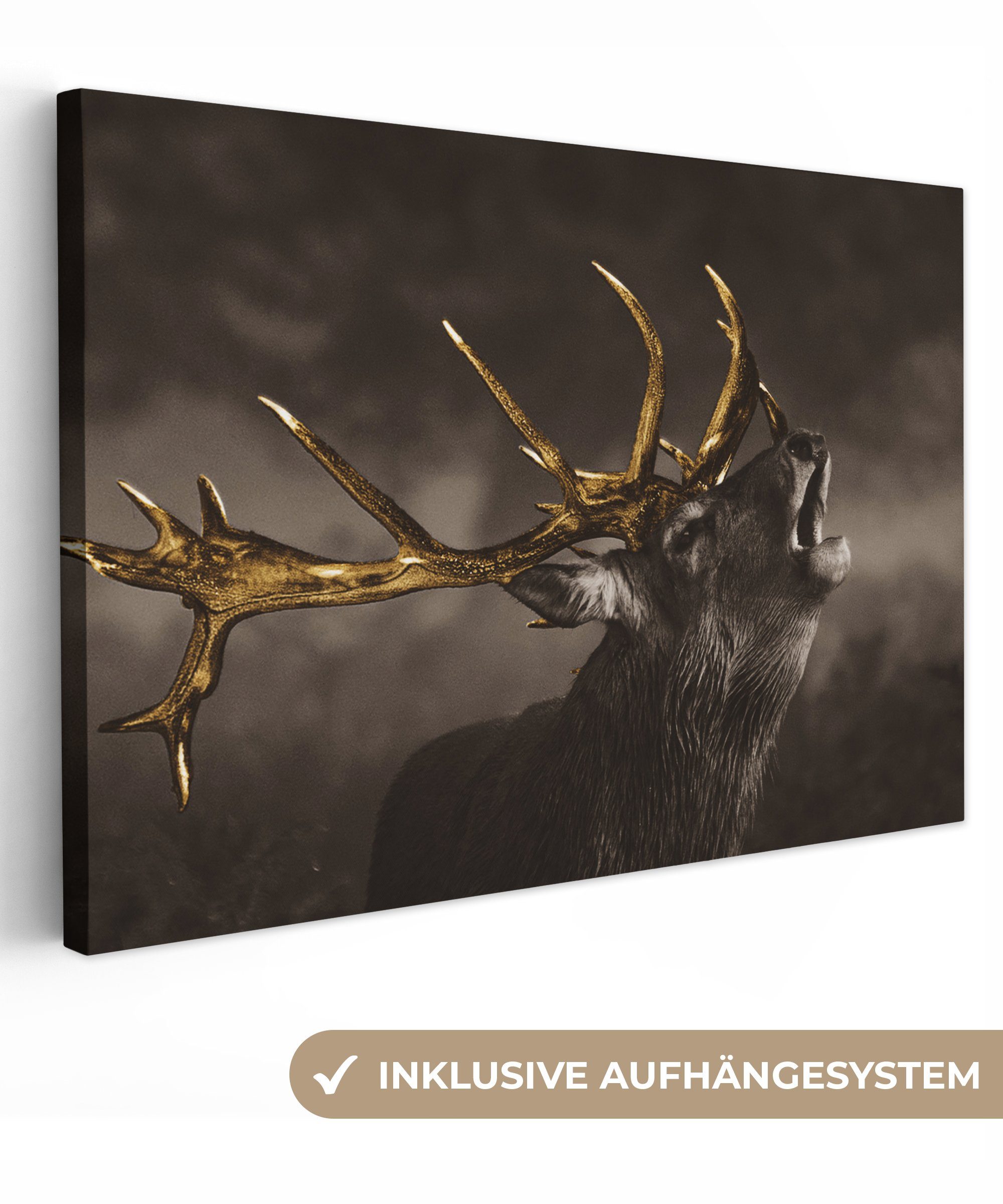 OneMillionCanvasses® Leinwandbild Rotwild - Schwarz - Gold, Fotodruck (1 St günstig online kaufen