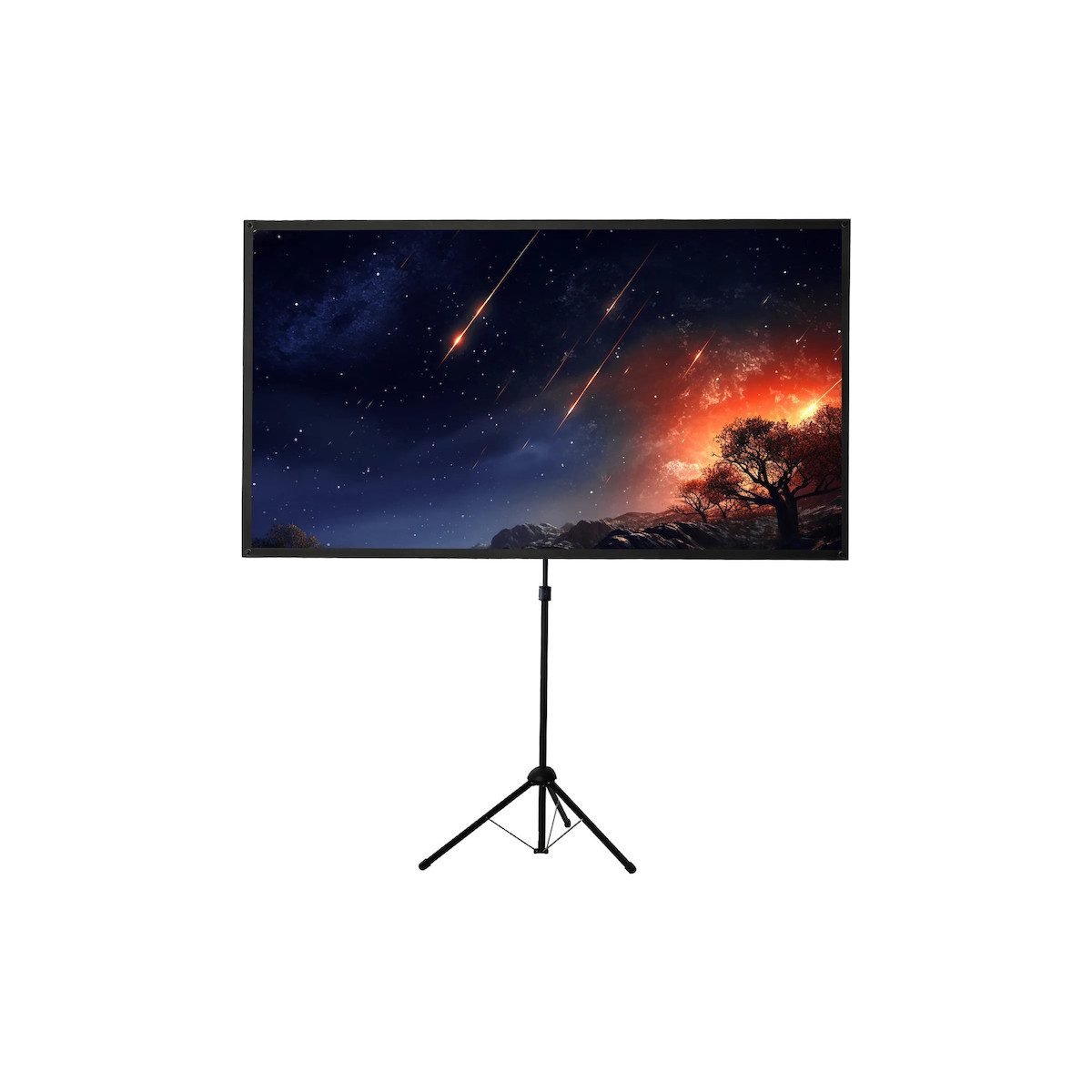 Celexon Ultra-lightweight Stativleinwand (schwarze Rückseite) – Bild 5 von 5