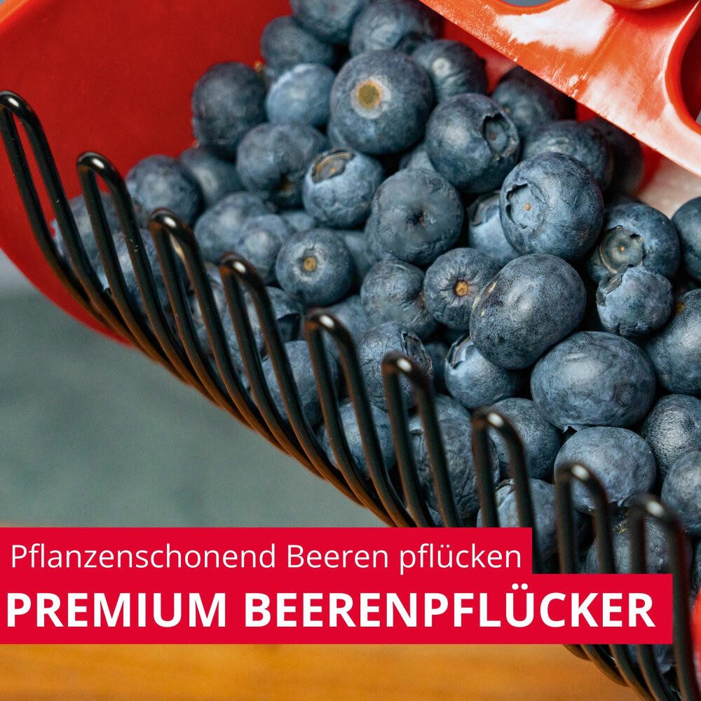 WESTMARK Spätzlepresse Ideal zum Pflücken von Heidelbeeren und anderen Wild-Beeren, PP, Stahl, ergonomischer Griff, BPA-frei