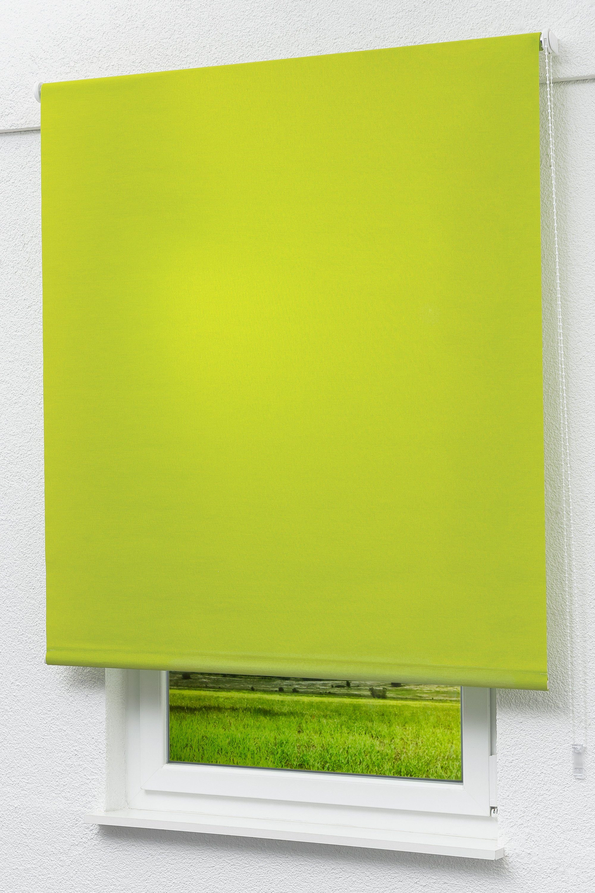 Basisrollo Rollo Gelbgrün, LYSEL®, 190x182.5cm Tageslicht HxB blickdicht,