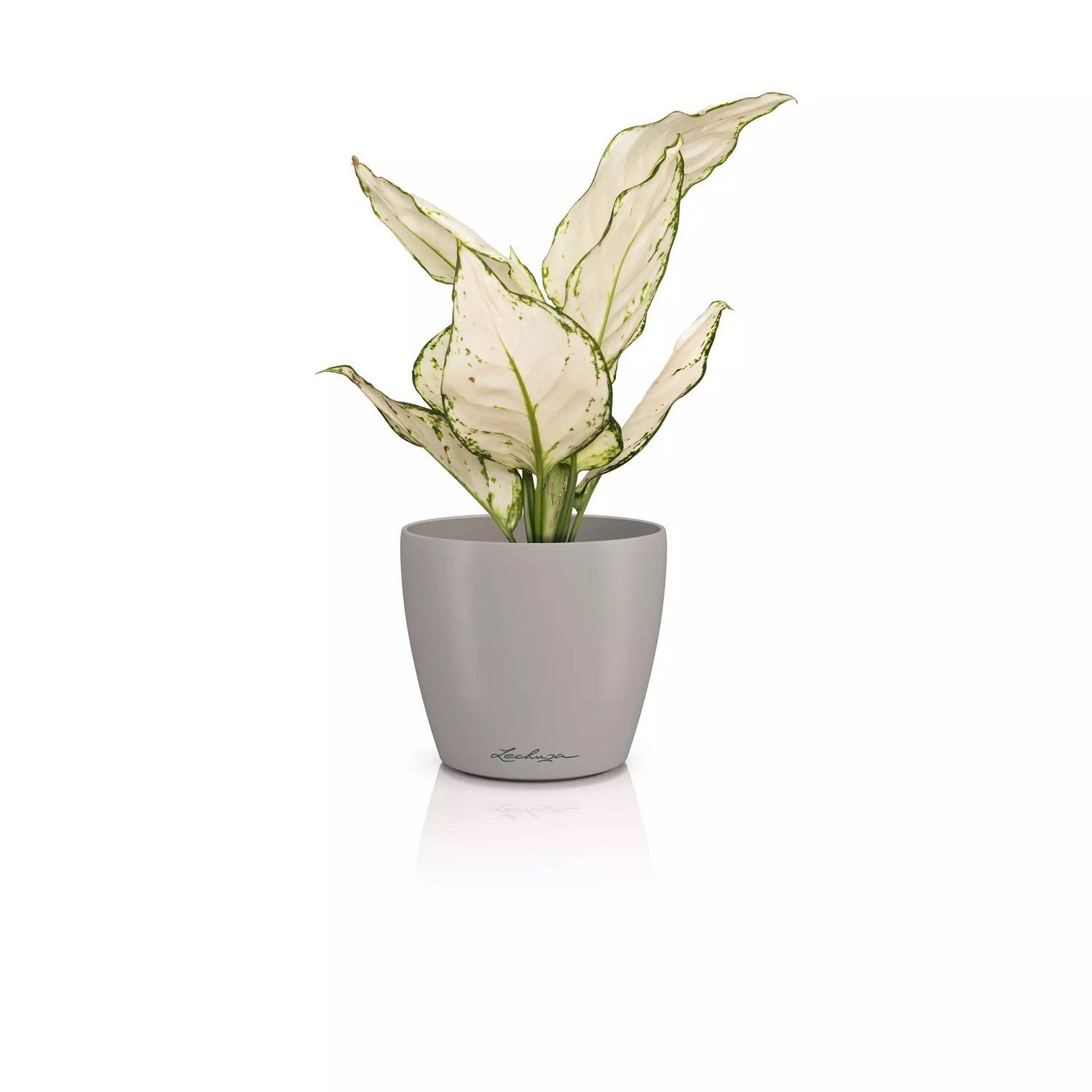 Lechuza® Übertopf Classico Color 12 DECO sandbraun