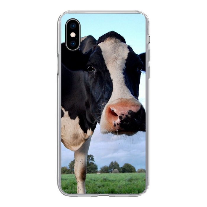 MuchoWow Handyhülle Kuh - Bauernhof - Gras - Tiere Handyhülle Apple iPhone Xs Smartphone-Bumper Print Handy