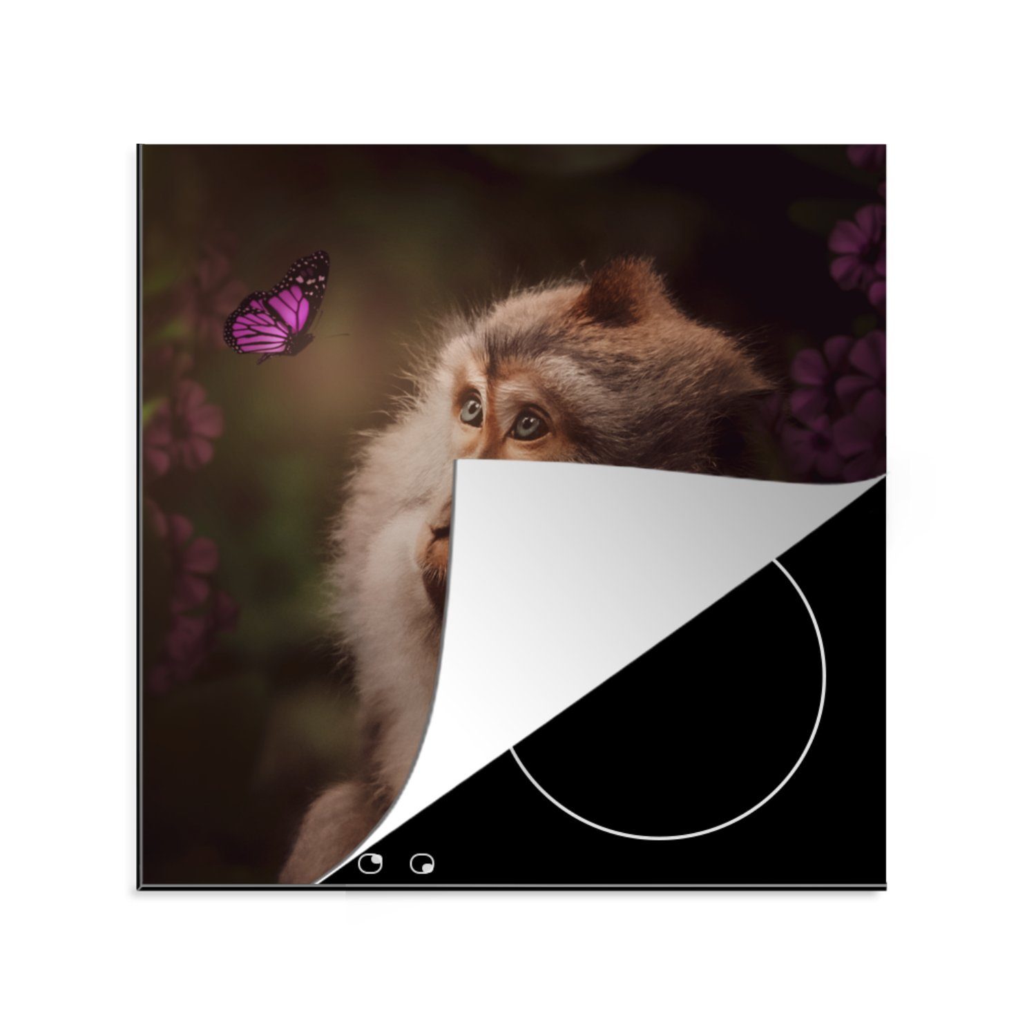 MuchoWow Herdblende-/Abdeckplatte Schmetterling - Affe - Natur, Vinyl, (1 tlg), 78x78 cm, Ceranfeldabdeckung, Arbeitsplatte für küche