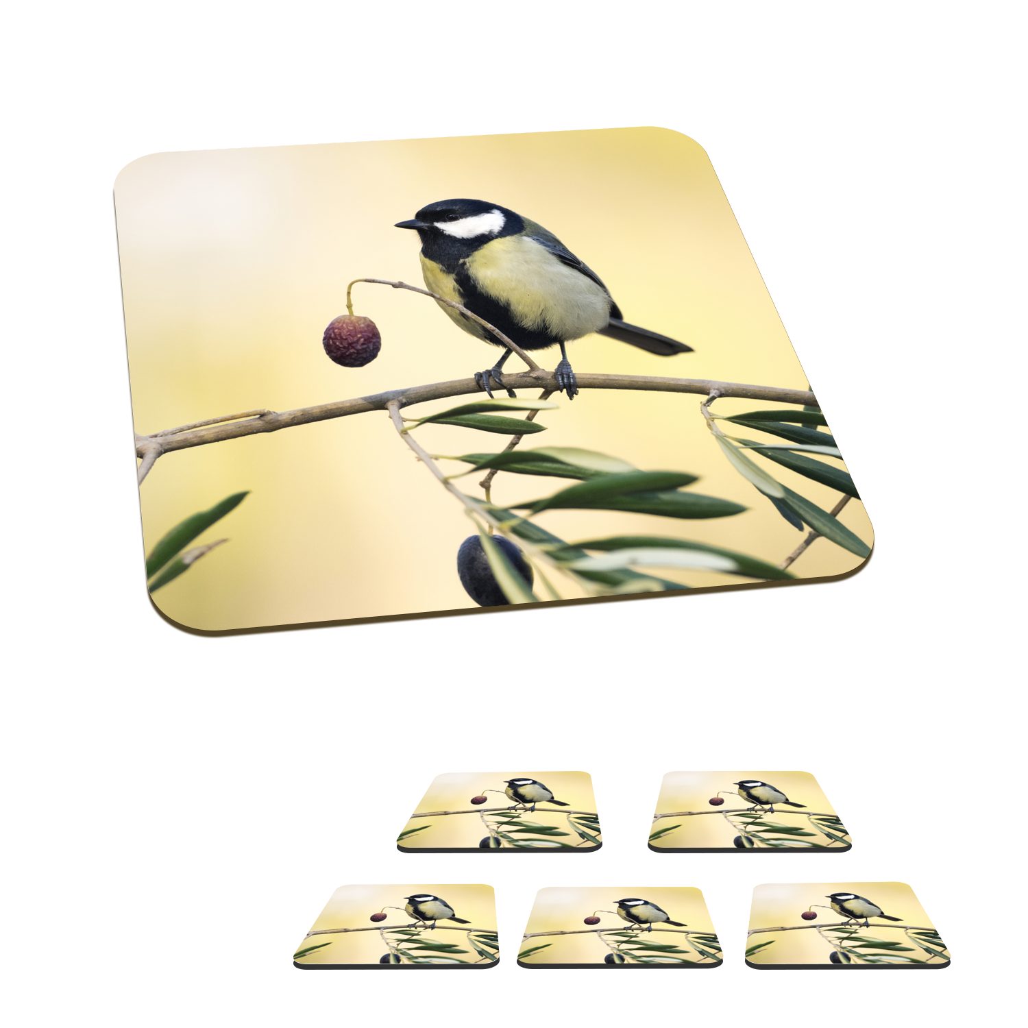 MuchoWow Glasuntersetzer Vogel auf einem Zweig mit einer Beere, Zubehör für Gläser, 6-tlg., Glasuntersetzer, Tischuntersetzer, Korkuntersetzer, Untersetzer, Tasse