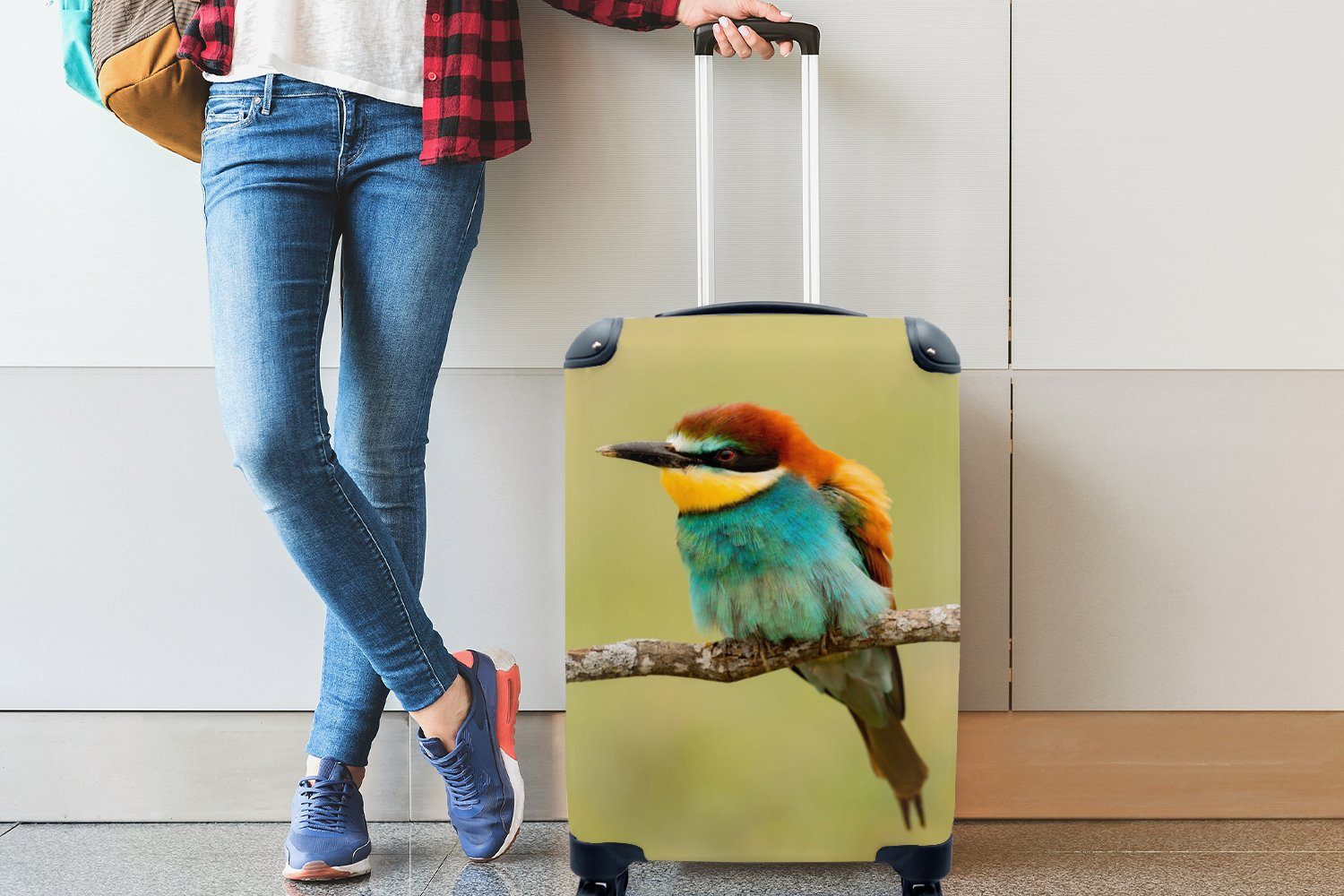 Trolley, Reisetasche Rollen, 4 Handgepäckkoffer Tiere, MuchoWow rollen, Handgepäck mit Vogel Bienenfresser Reisekoffer - für - Ferien,