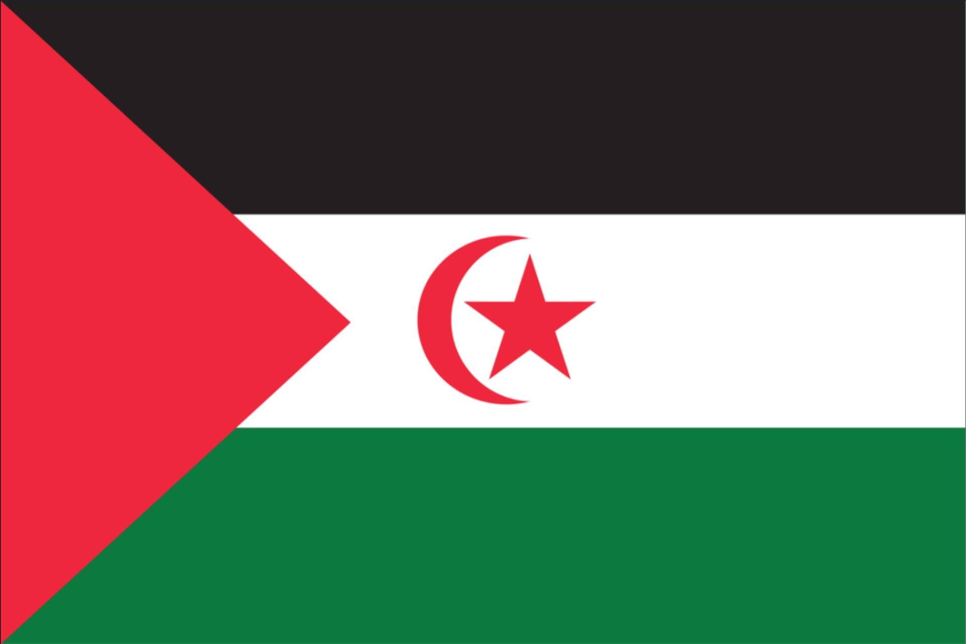 flaggenmeer g/m² 80 Westsahara Flagge