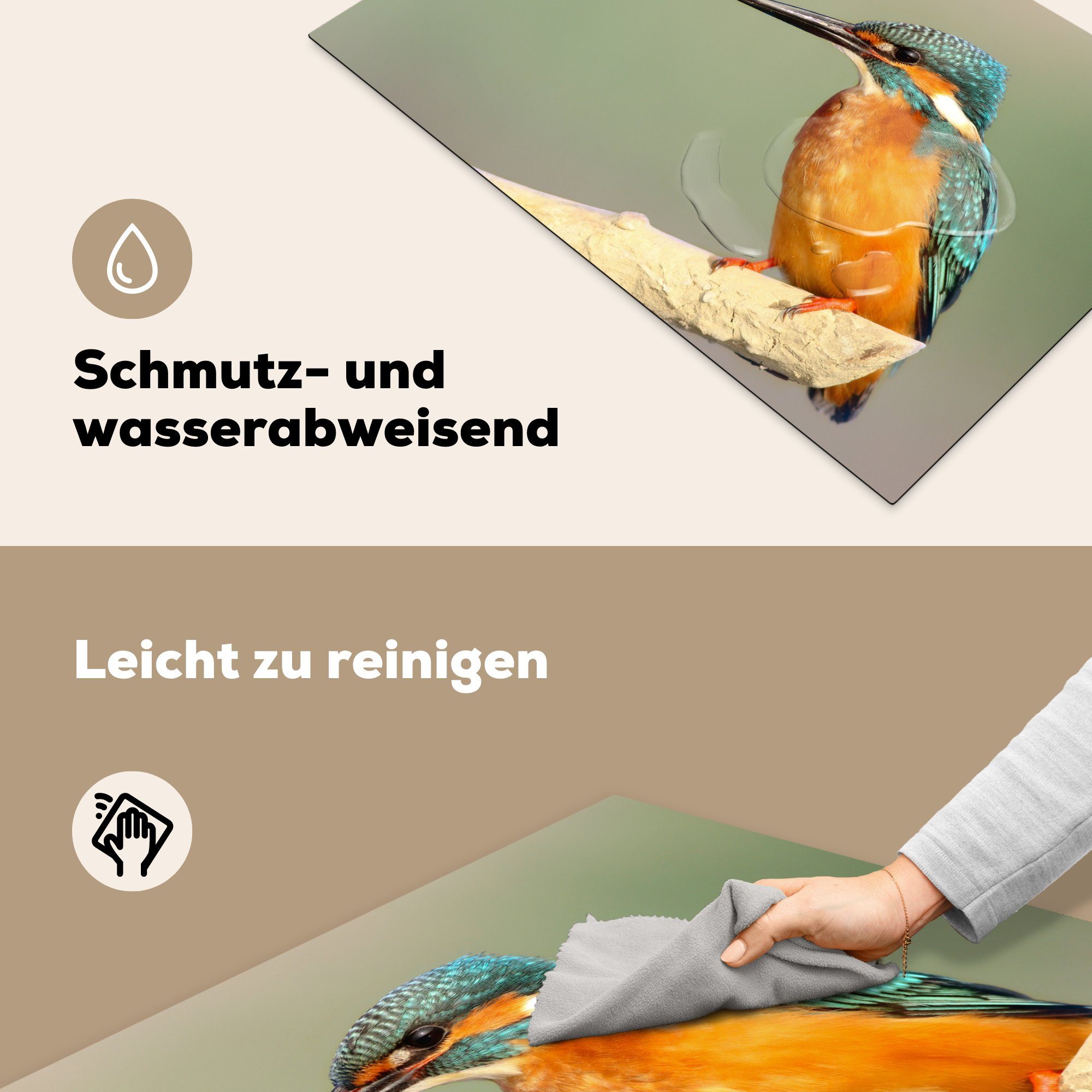 Schutz Herdblende-/Abdeckplatte Eisvogel cm, Zweig, (1 für Induktionskochfeld Ceranfeldabdeckung 81x52 - Vinyl, küche, - die tlg), Vogel MuchoWow