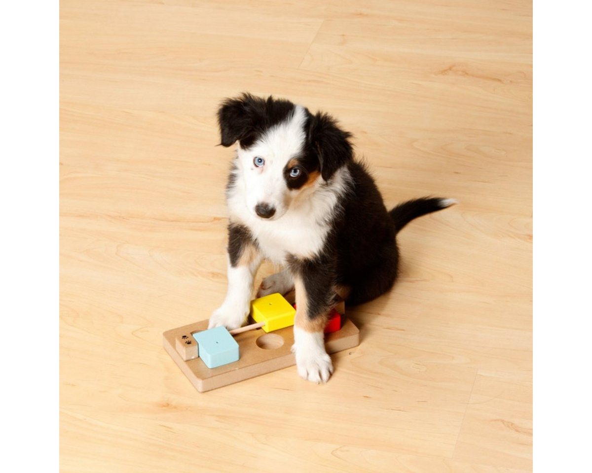 Thumbnail - Karlie Tier-Intelligenzspielzeug Doggy Brain Train Rocky