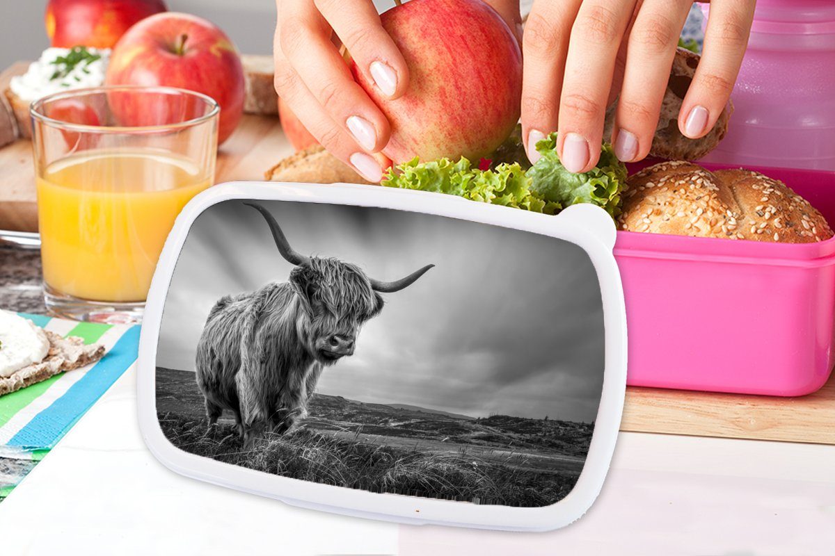 MuchoWow Lunchbox Kühe - Kunststoff - Tiere - rosa Brotdose Brotbox Mädchen, weiß, Erwachsene, Schwarz - (2-tlg), Kinder, und Snackbox, Natur Kunststoff, Schottische Hochlandkühe für