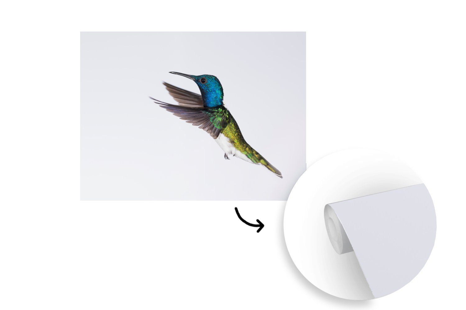 MuchoWow Fototapete Vogel - Kolibri Blau - bedruckt, St), Wandtapete Tapete Montagefertig für Grün, Matt, - (6 Vinyl Wohnzimmer