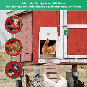 Randaco Haustierklappe Automatische Hühnerklappe-Timer/Lichtsensor-automatische Verriegelung
