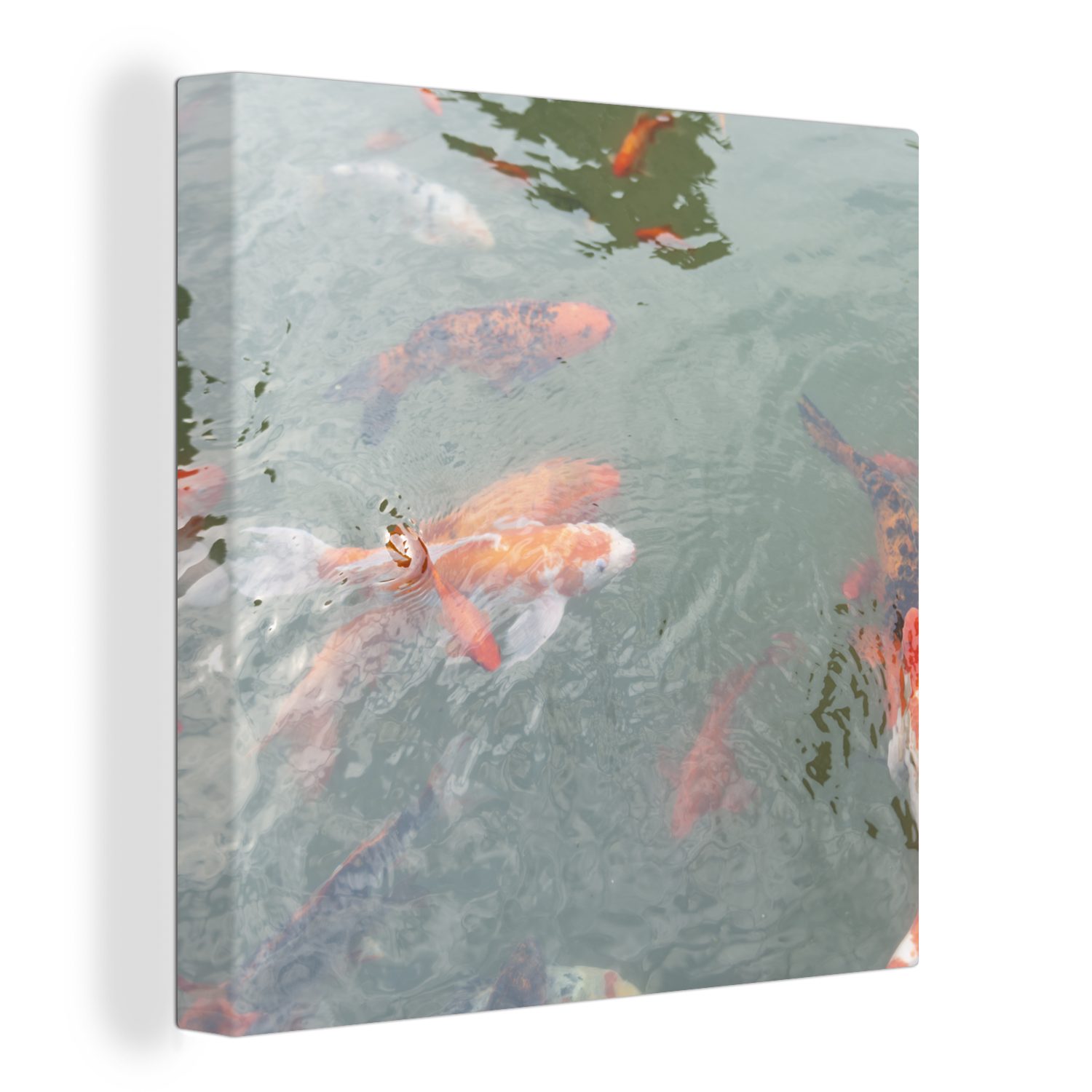 OneMillionCanvasses® Leinwandbild Eine Gruppe von Koi-Karpfen in einem Teich, (1 St), Leinwand Bilder für Wohnzimmer Schlafzimmer
