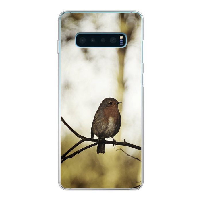 MuchoWow Handyhülle Natur - Rotkehlchen - Zweig Phone Case Handyhülle Samsung Galaxy S10+ Silikon Schutzhülle