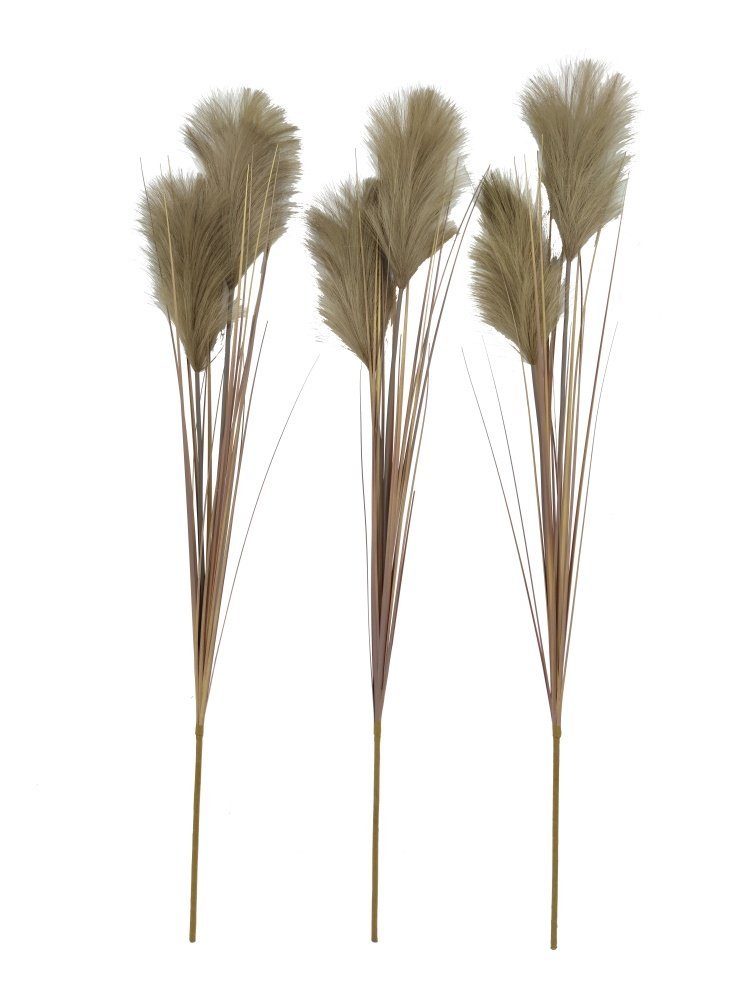 Kunstblume Pampasgras (Cortaderia), 2474U, Höhe 95 cm, künstlich, naturgetreu, täuschend echt