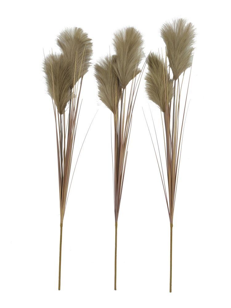 Kunstblume 3er Set Pampasgras Schlamm (Cortaderia), 2474U, Höhe 95 cm, küns günstig online kaufen