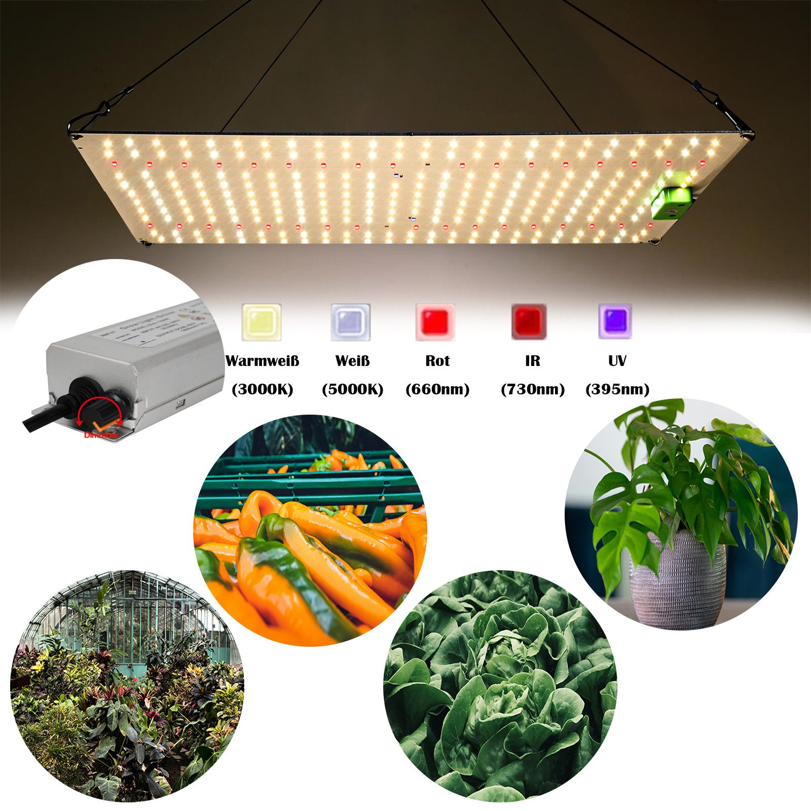 MUPOO Pflanzenlampe LED-Wachstumslicht Vollspektrum Grow Lampe Quantum Cann günstig online kaufen