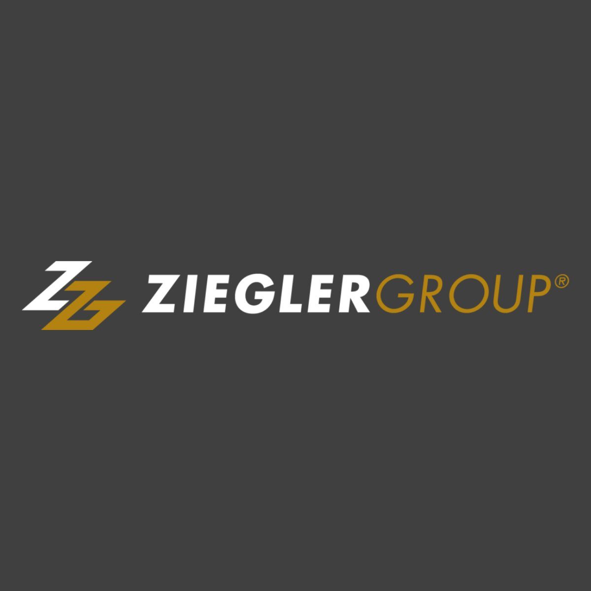 Ziegler Dekosteine günstig online kaufen