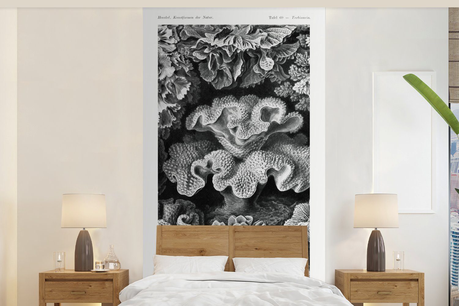 MuchoWow Fototapete Kunst - Koralle - Ernst Haeckel - Alte Meister - Natur, Matt, bedruckt, (2 St), Vliestapete für Wohnzimmer Schlafzimmer Küche, Fototapete