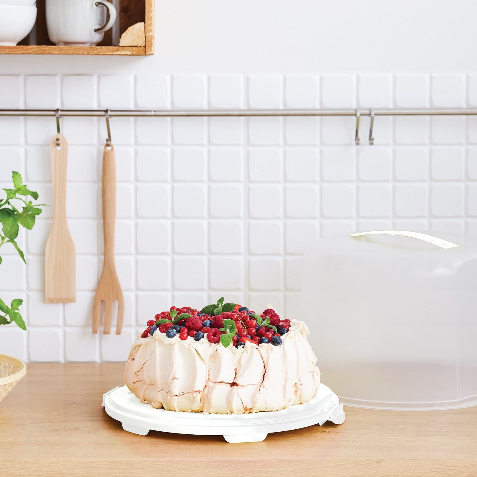 ROTHO Aufbewahrungssystem FRESH Kuchentransportbox XL, Kunststoff, Hergestellt in der Schweiz – Bild 4 von 4